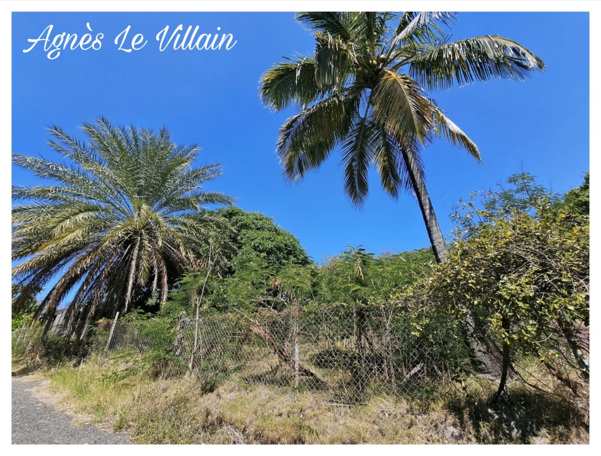 Terrain