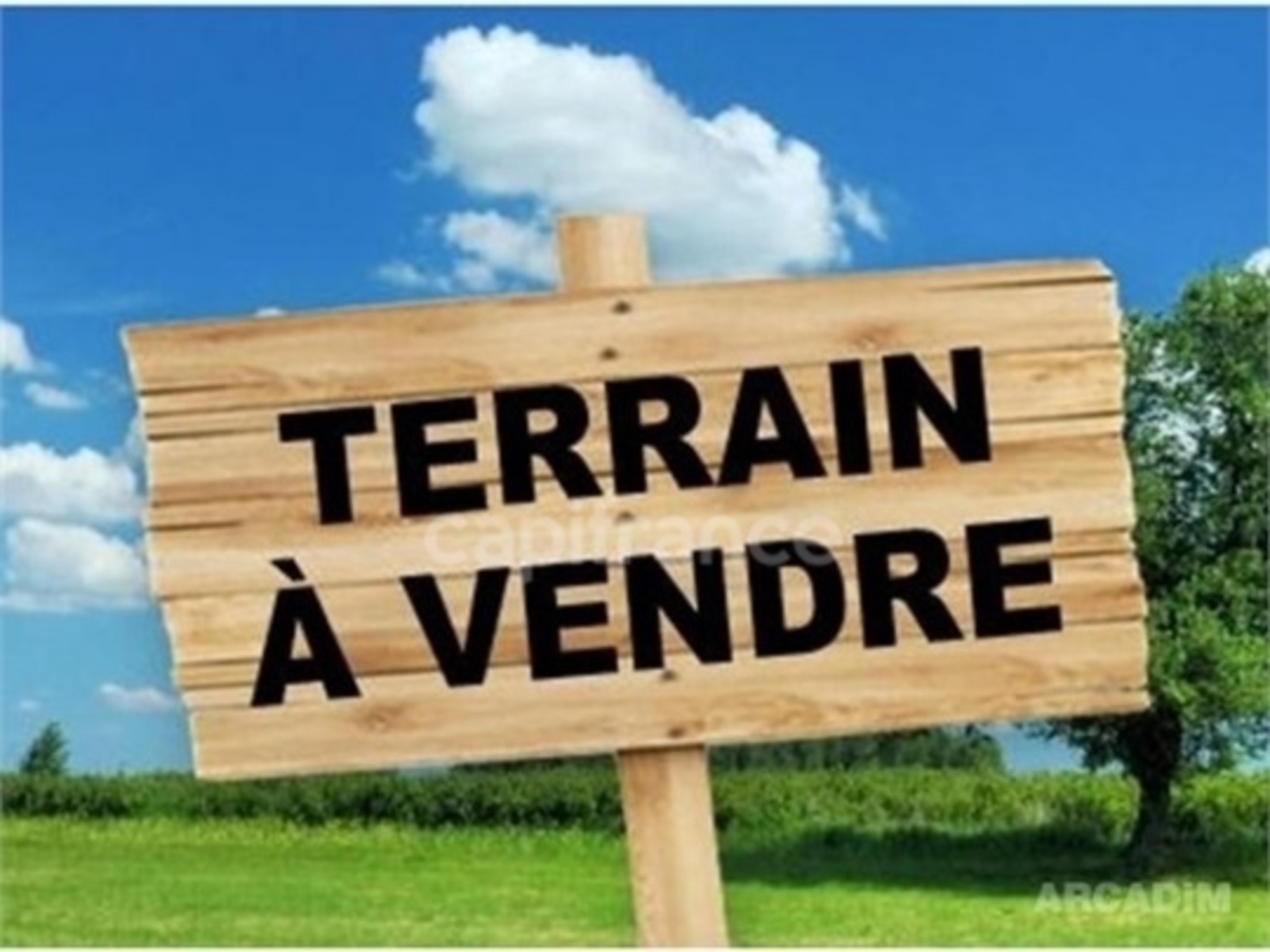 Terrain