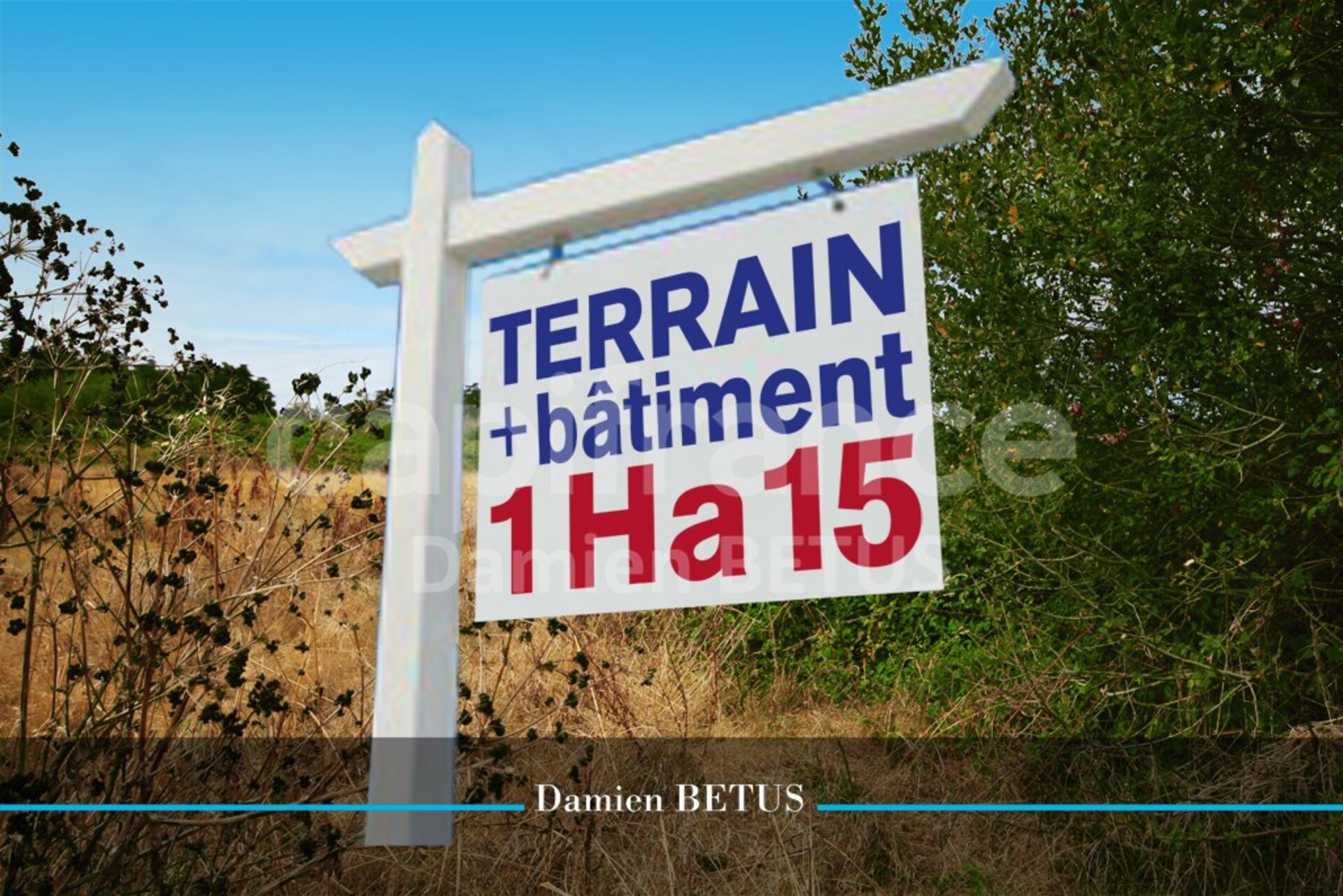 Terrain