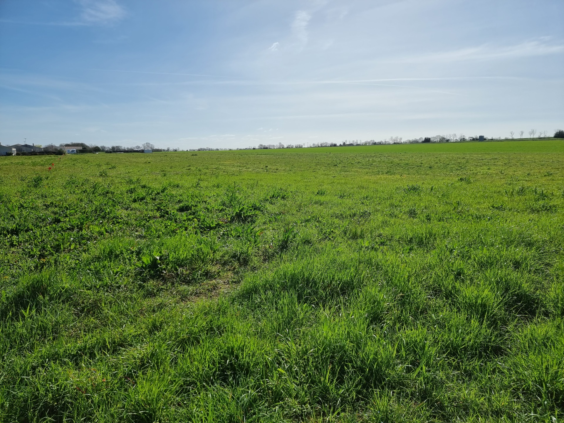 Terrain