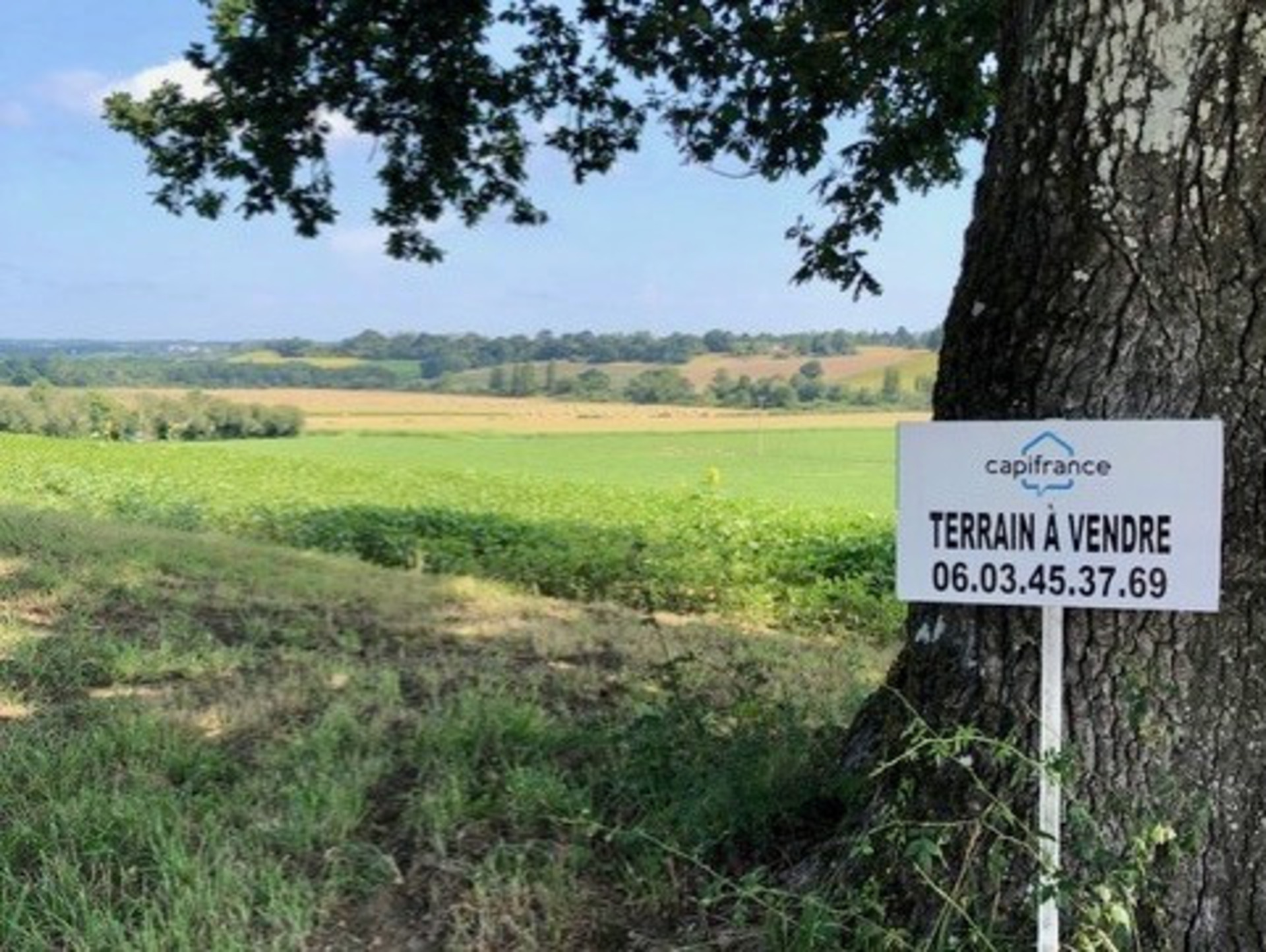 Terrain