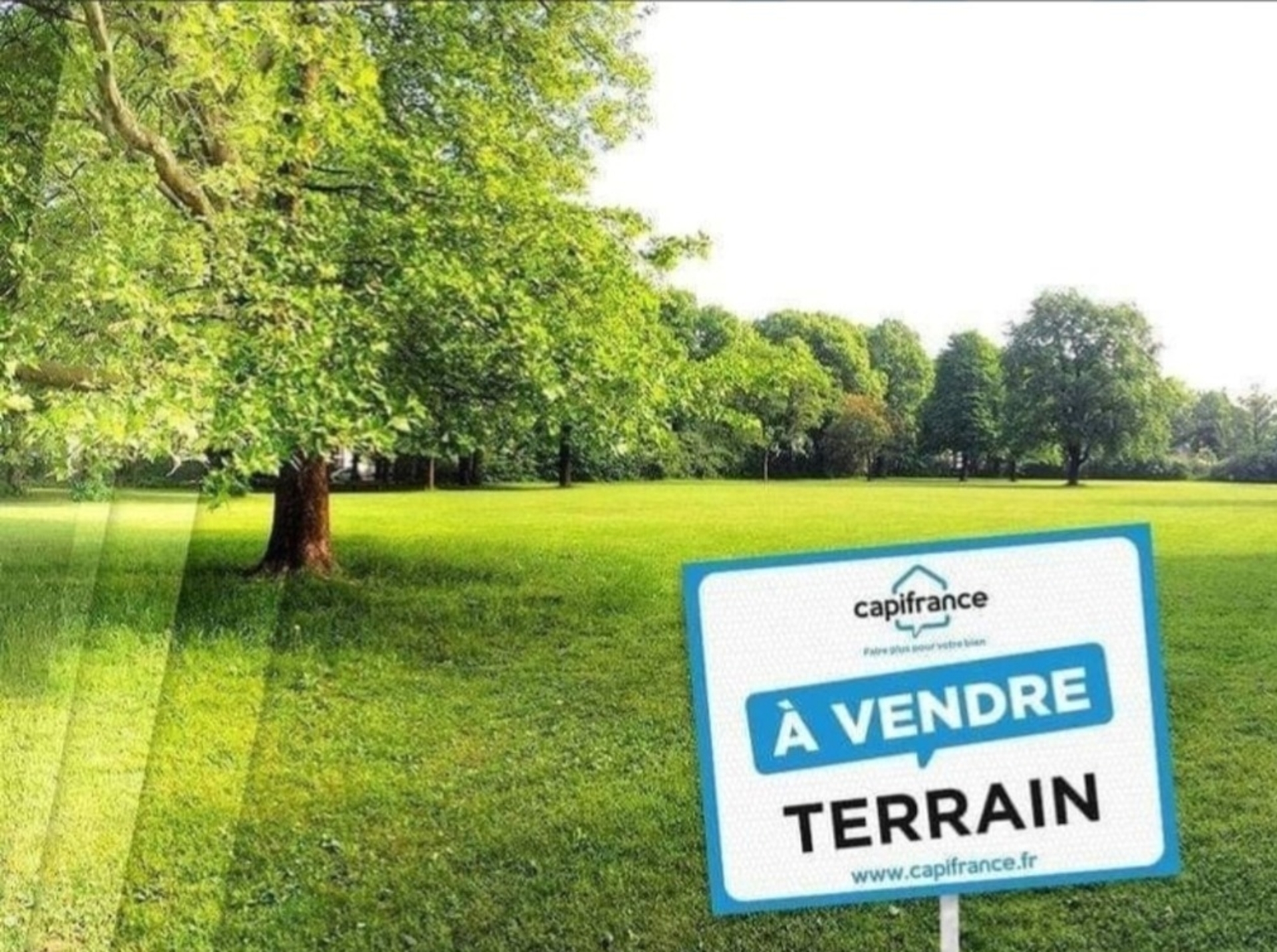 Terrain