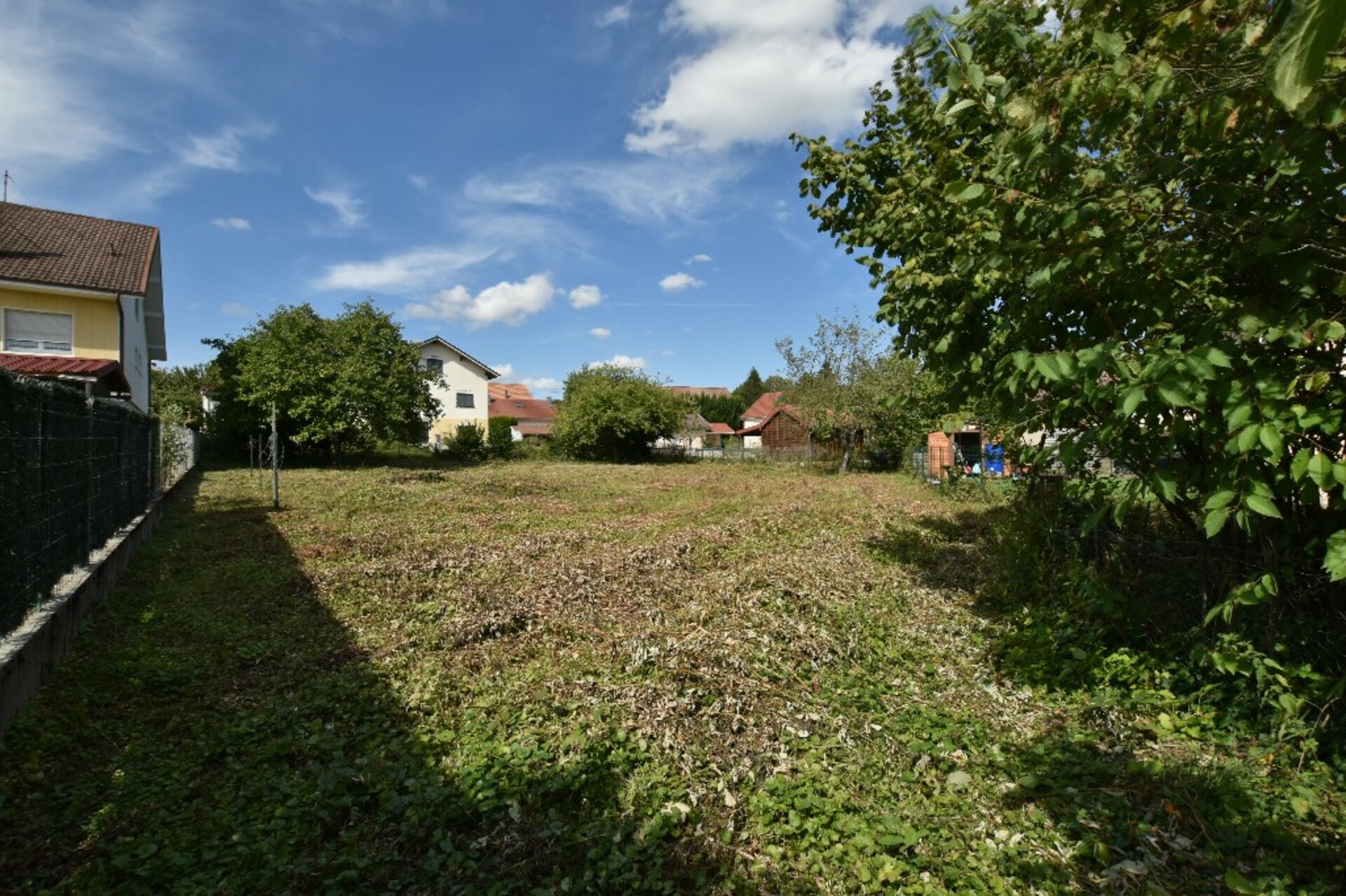 Terrain