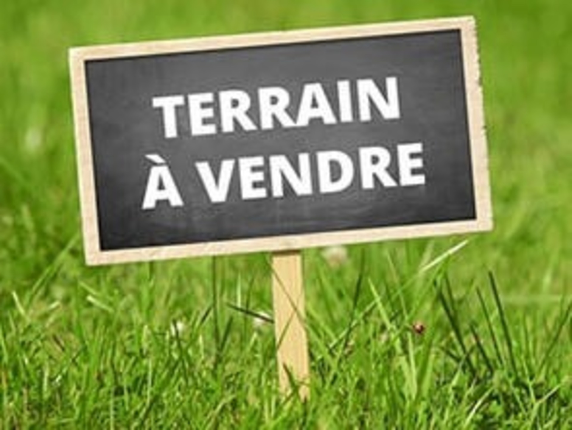 Terrain