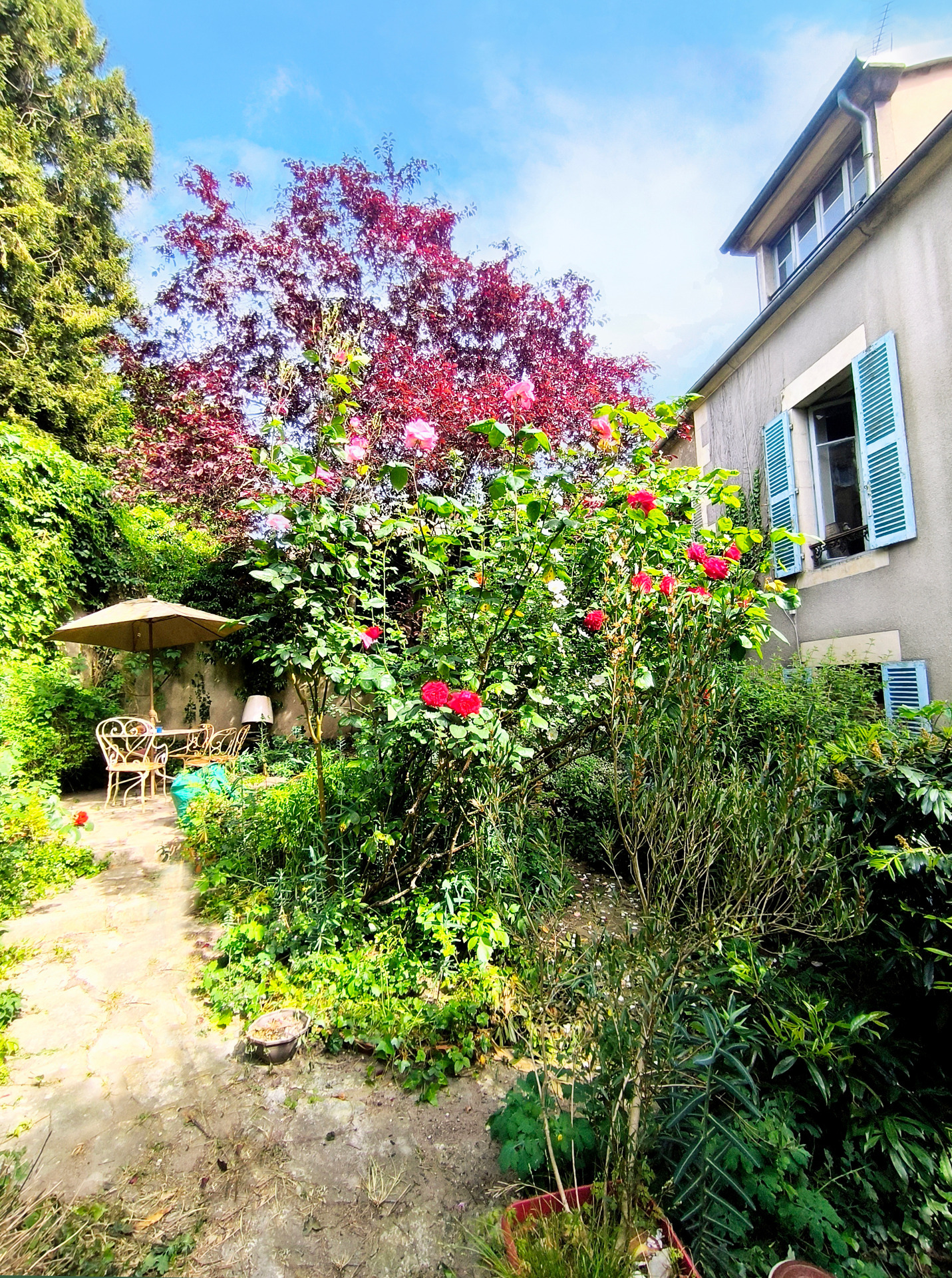 Maison