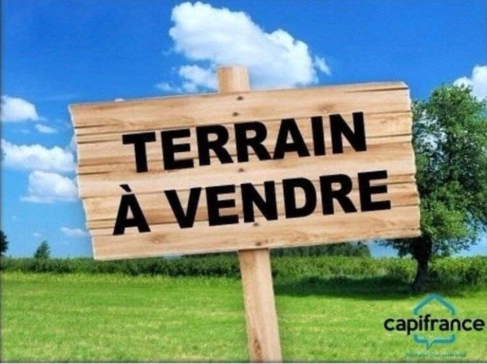 Terrain