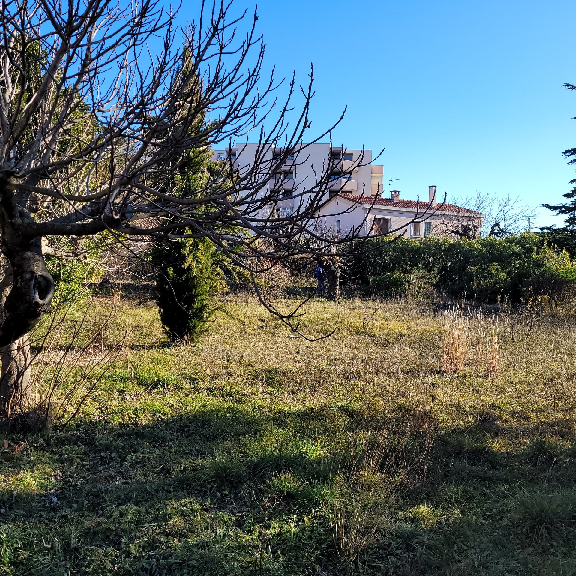 Terrain
