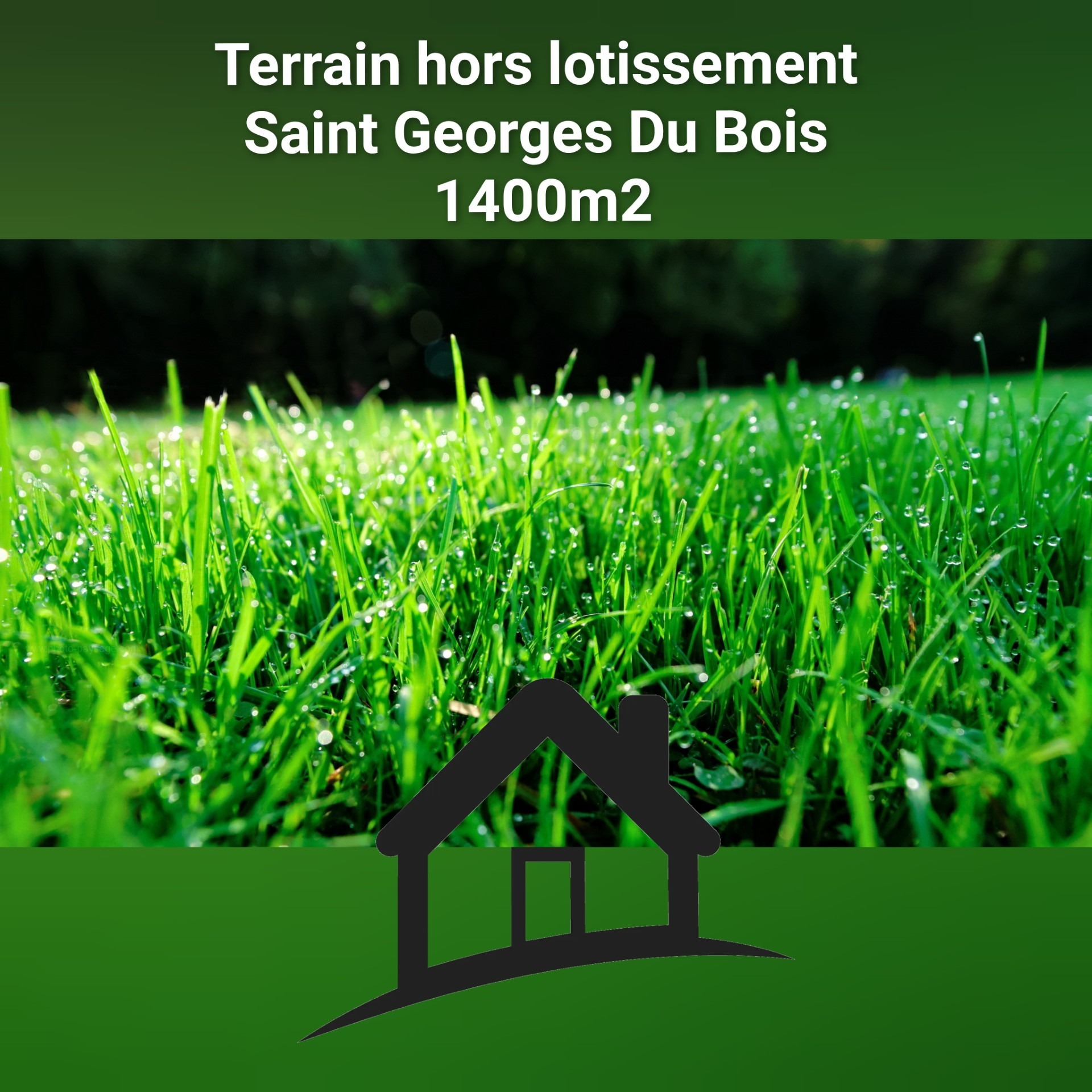 Terrain