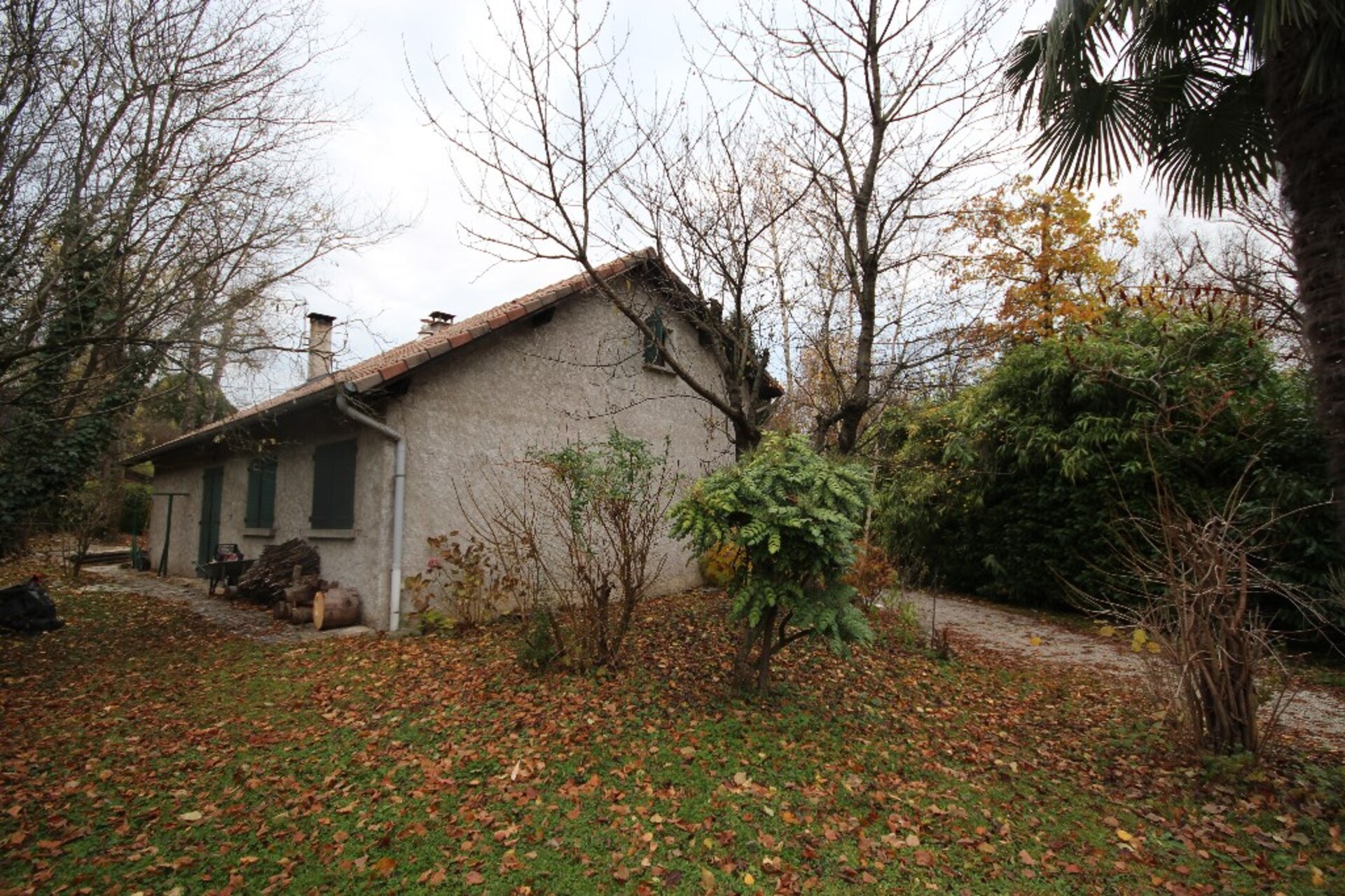 Maison