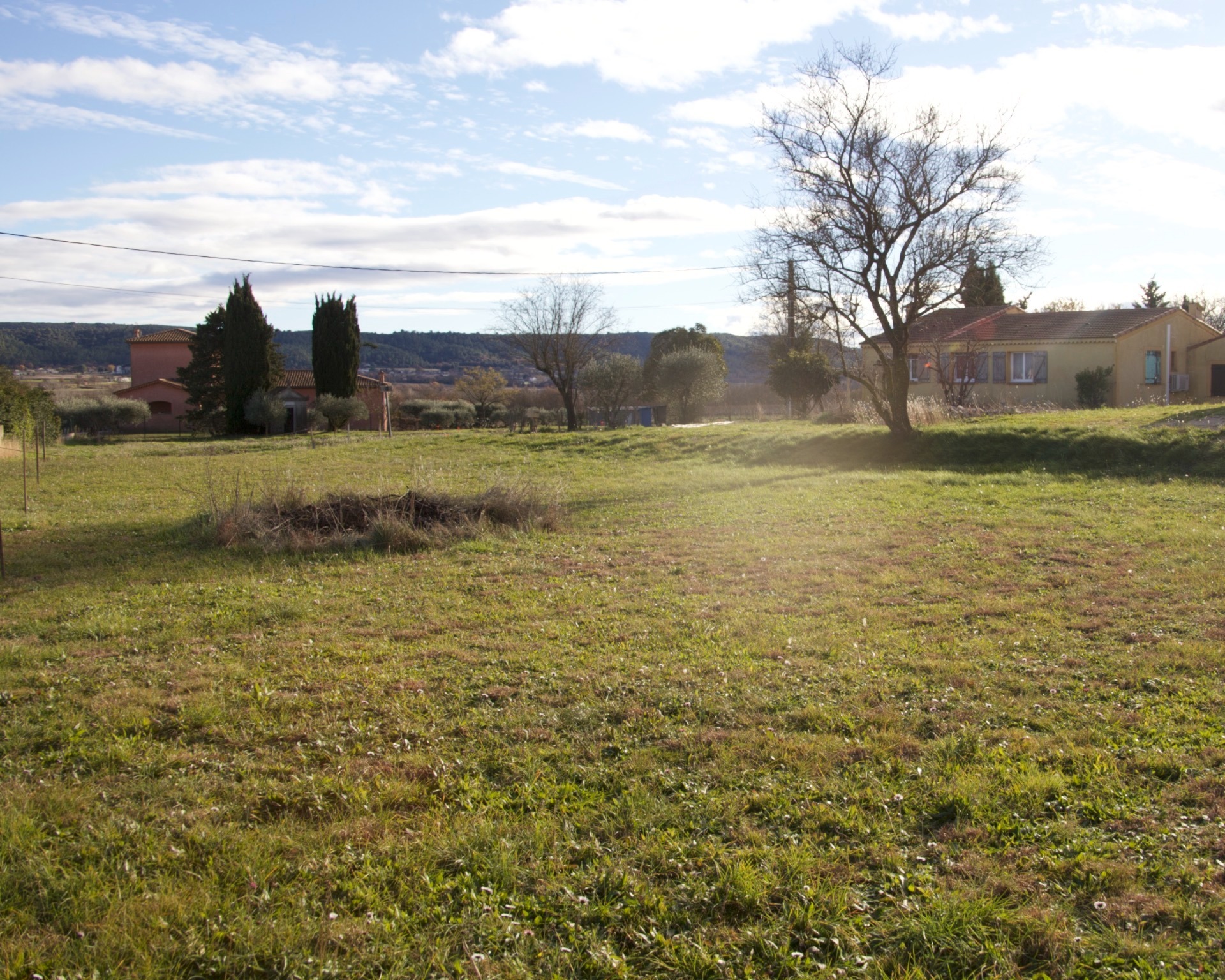 Terrain