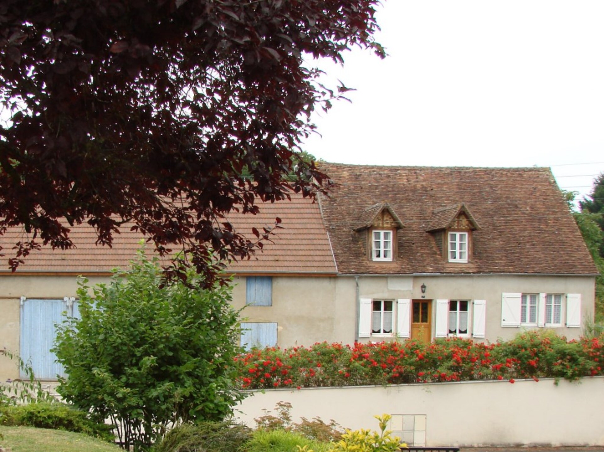Maison