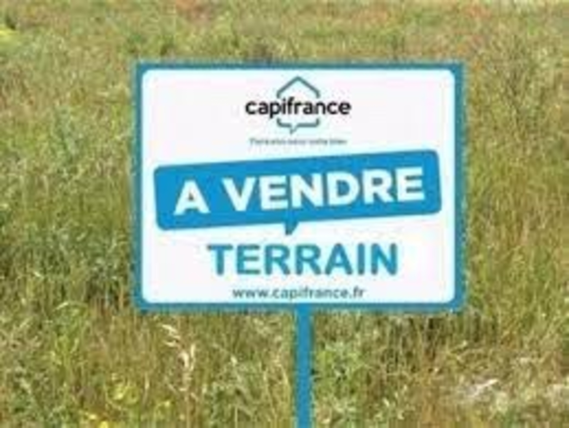 Terrain