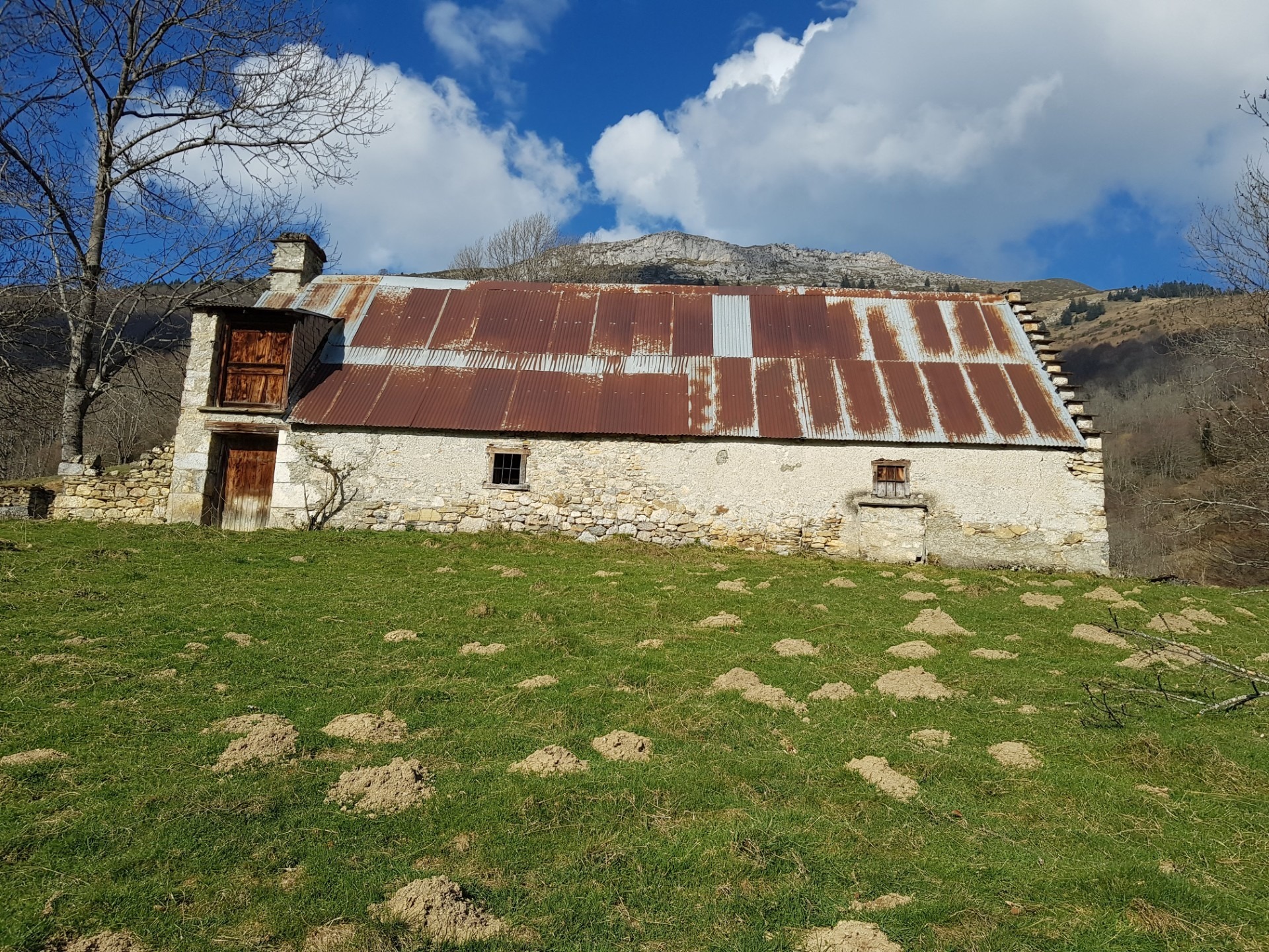 Maison