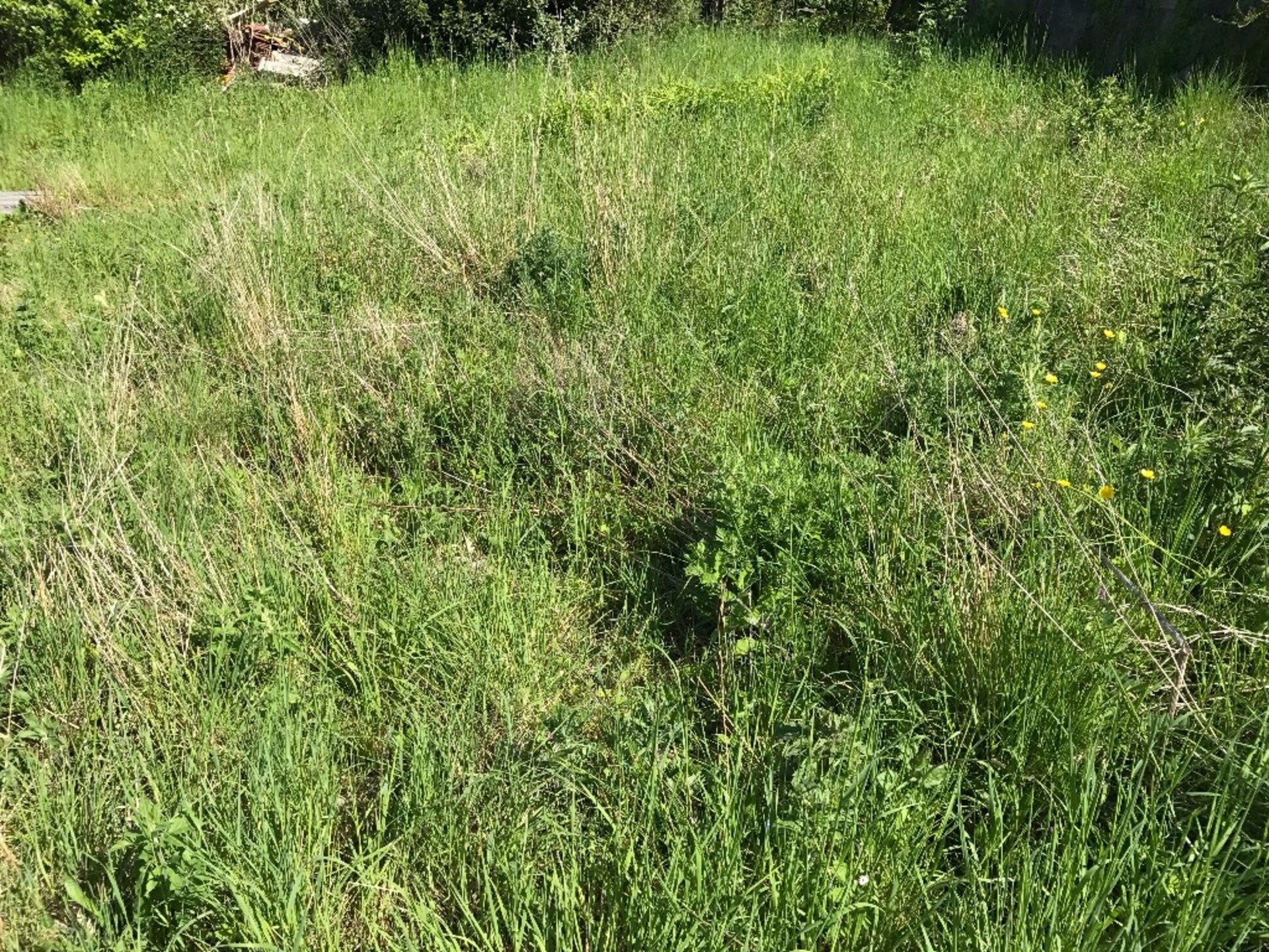 Terrain