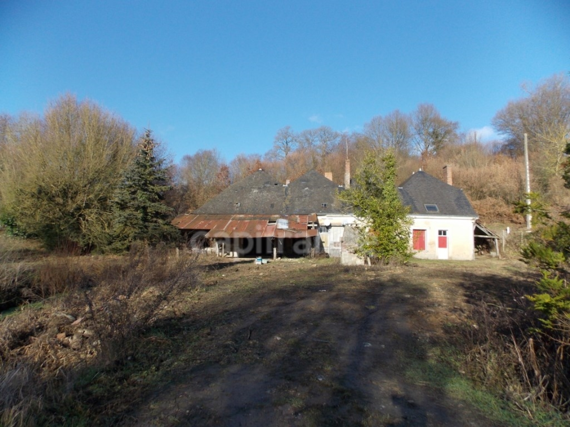 Maison