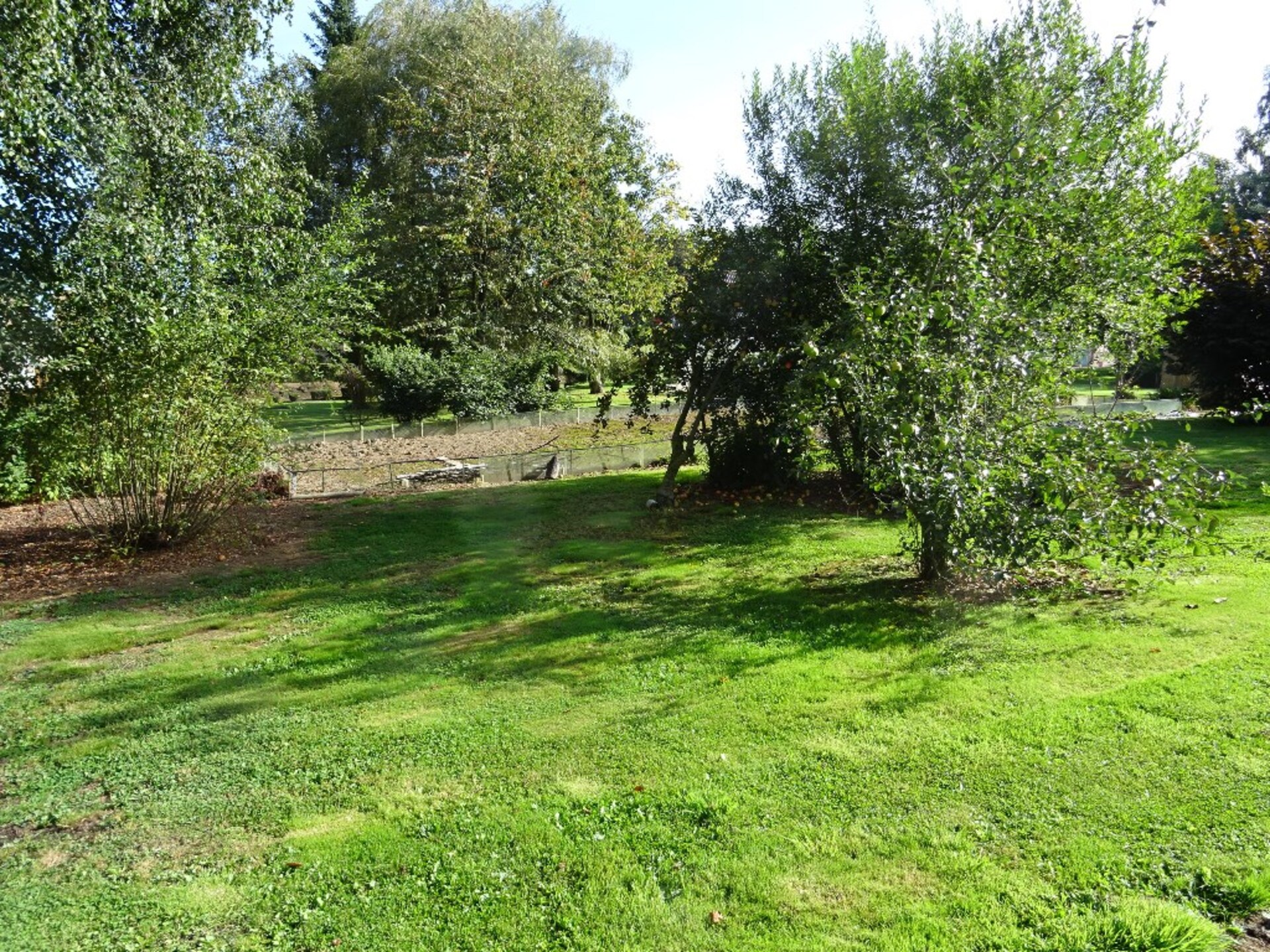 Terrain