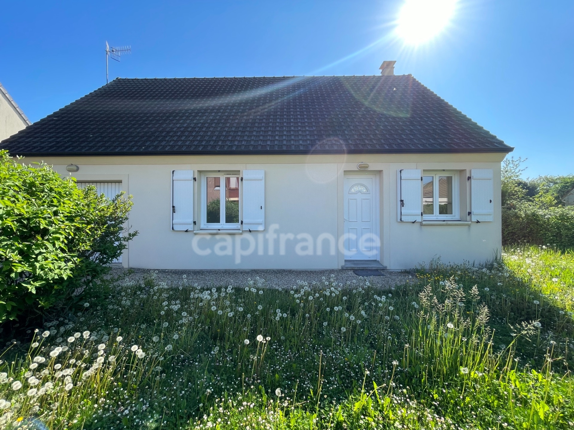 Maison