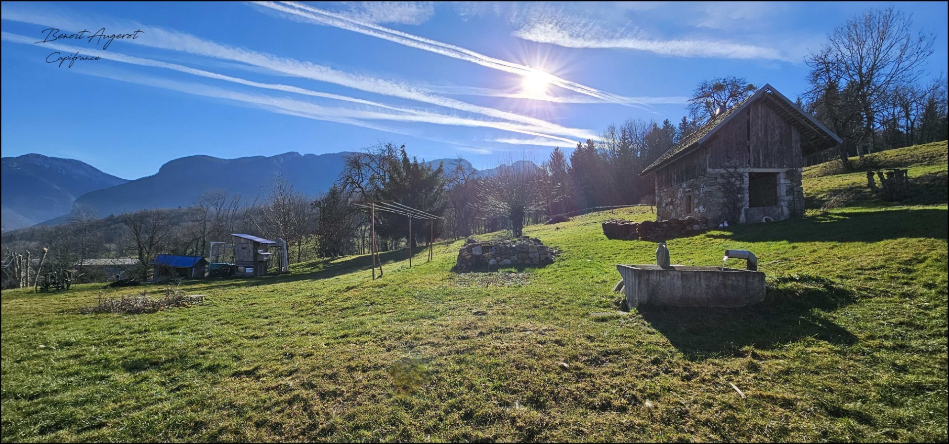 Maison