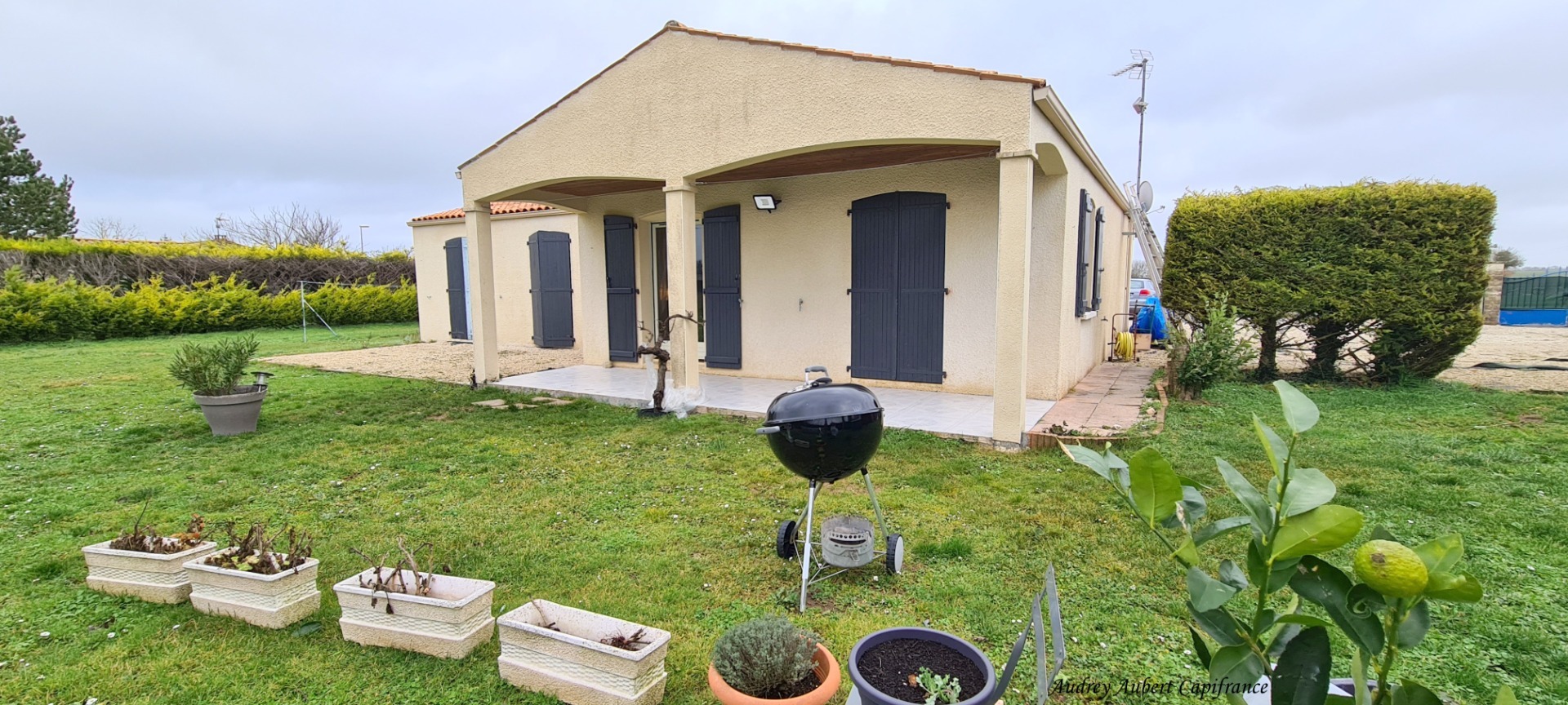 Maison