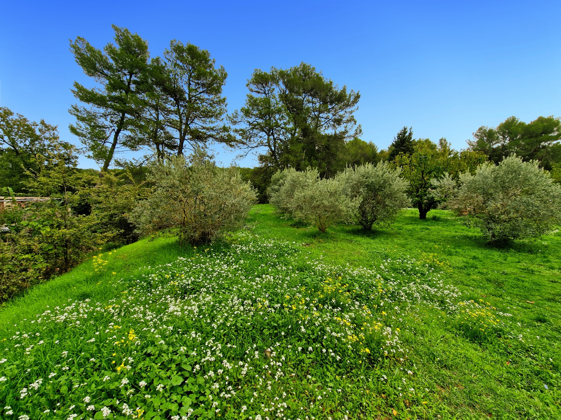 Terrain
