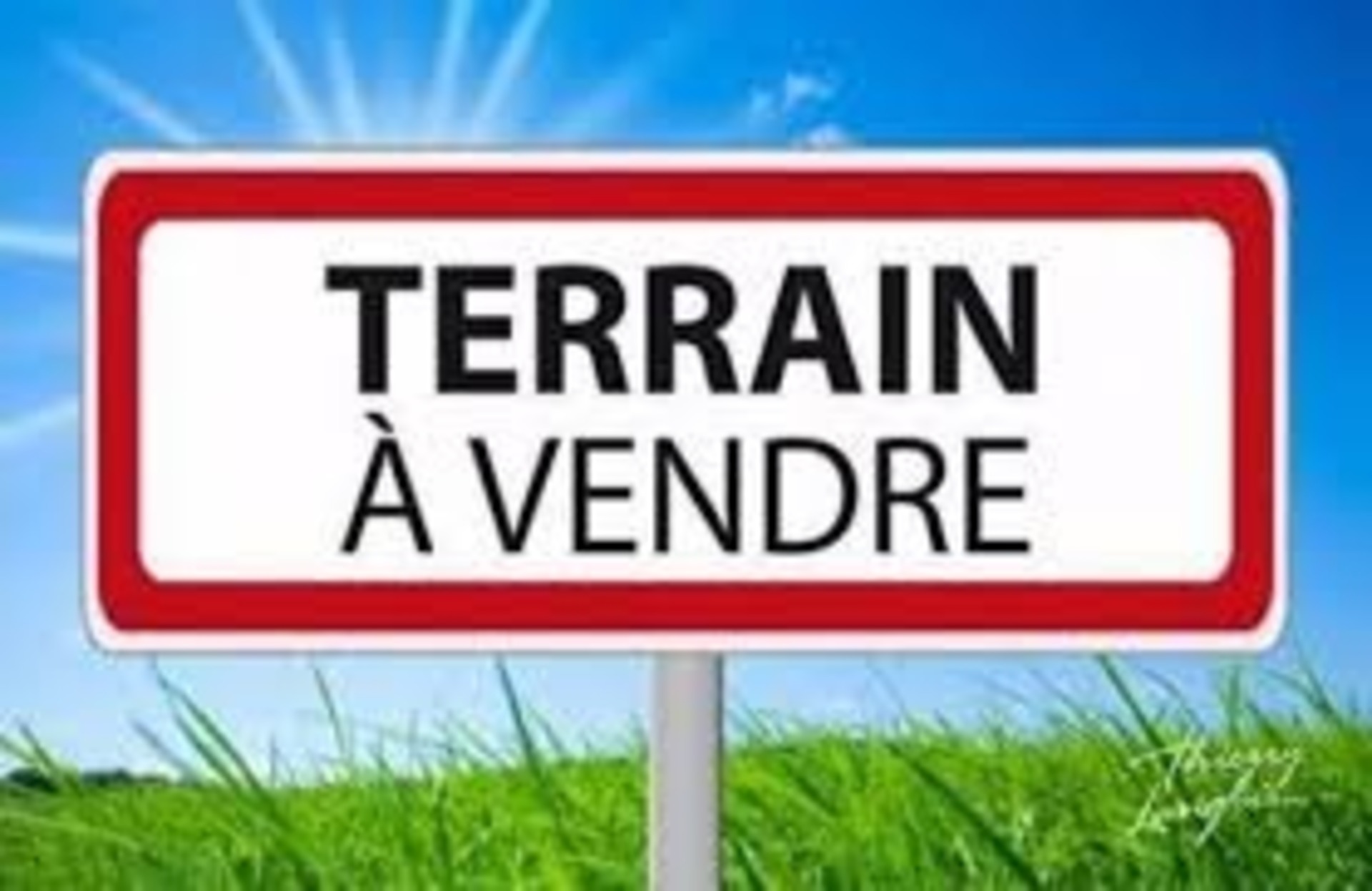 Terrain