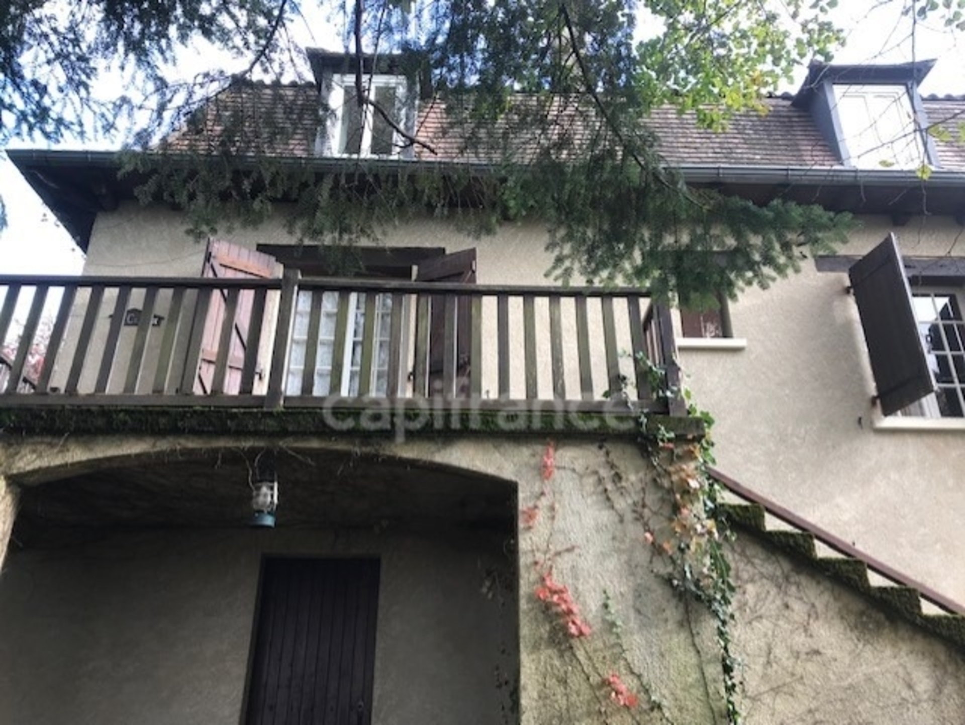 Maison
