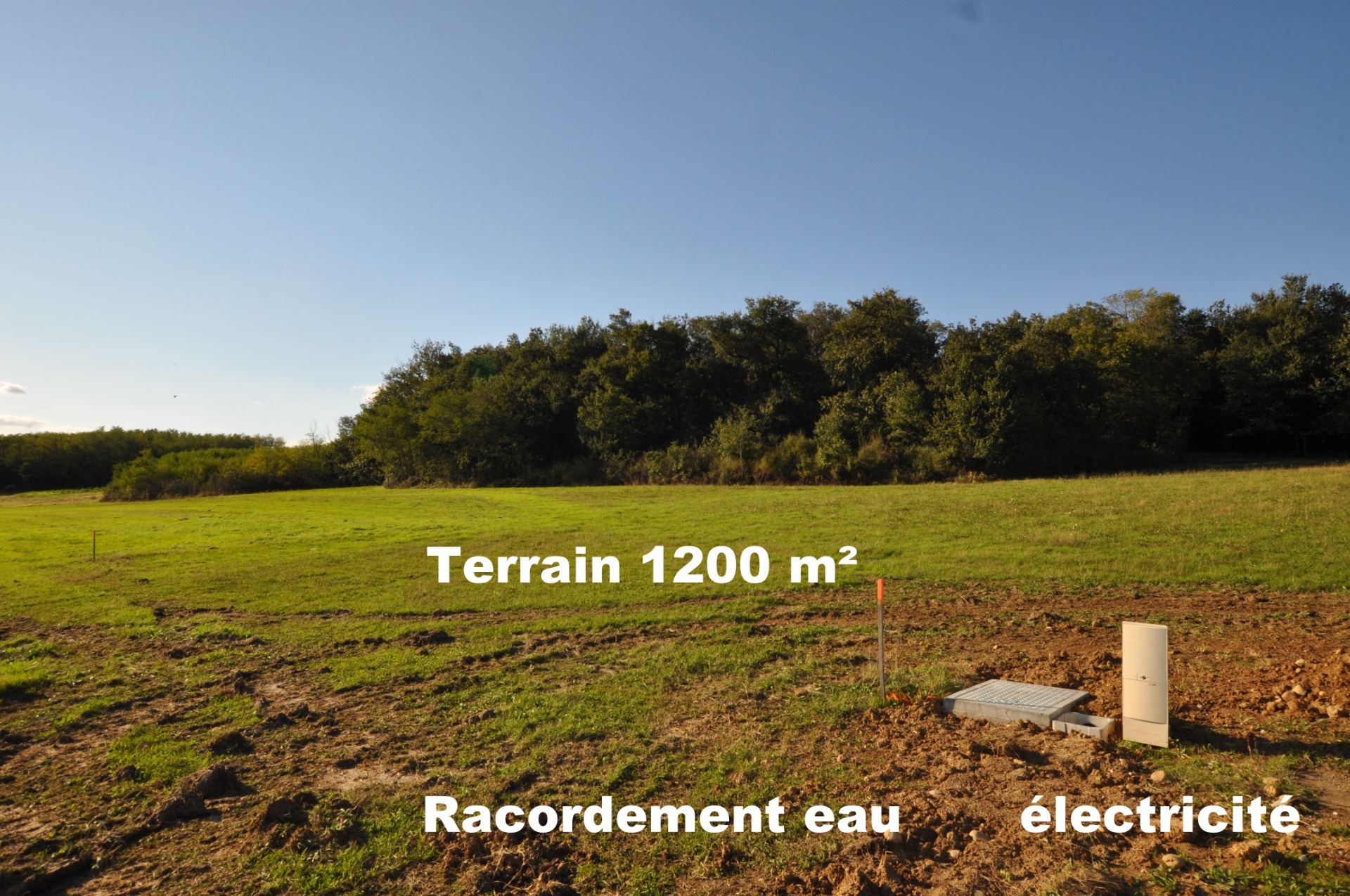 Terrain