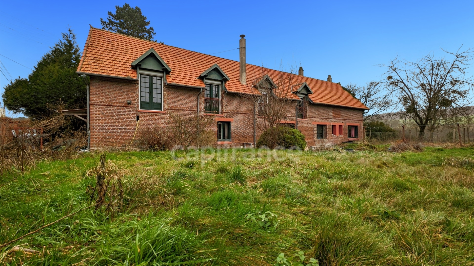 Maison