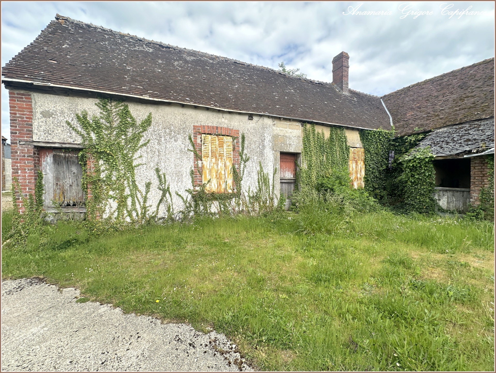 Maison