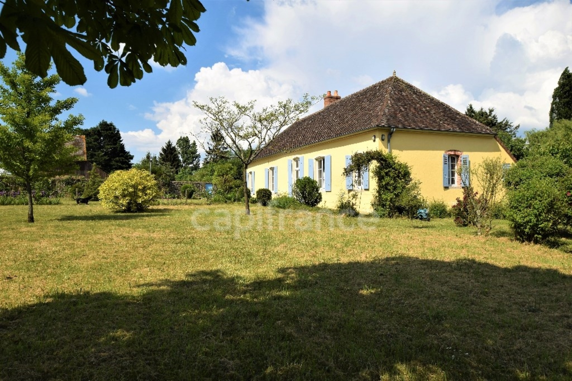 Maison