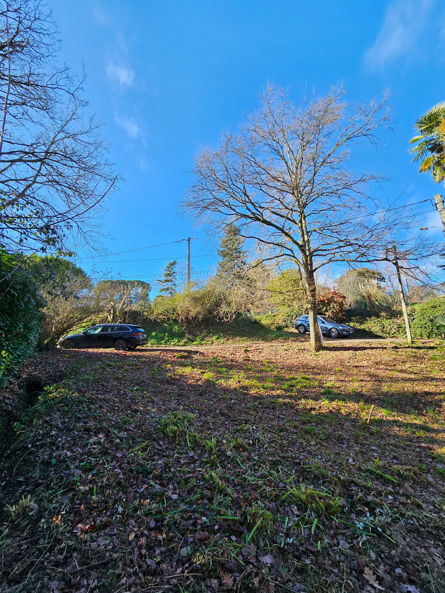 Terrain