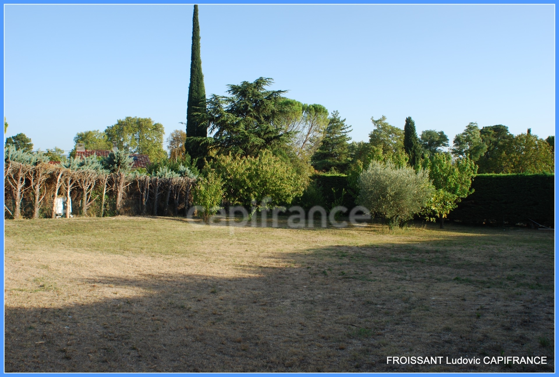 Terrain