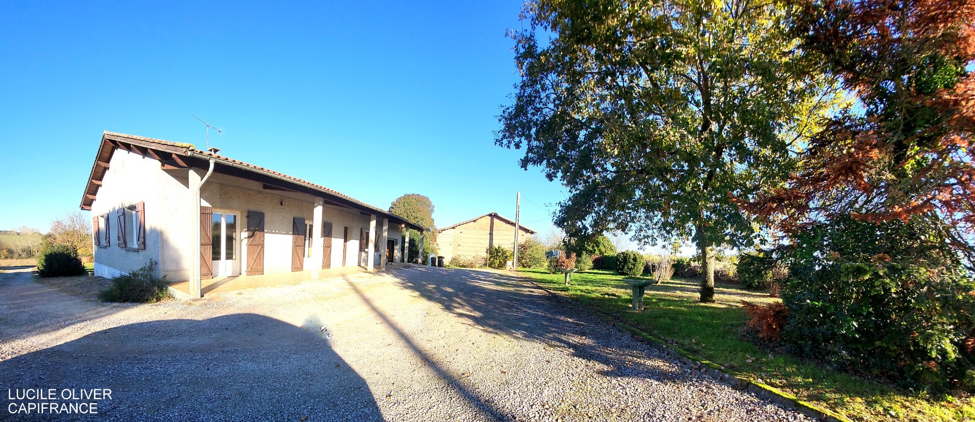 Maison