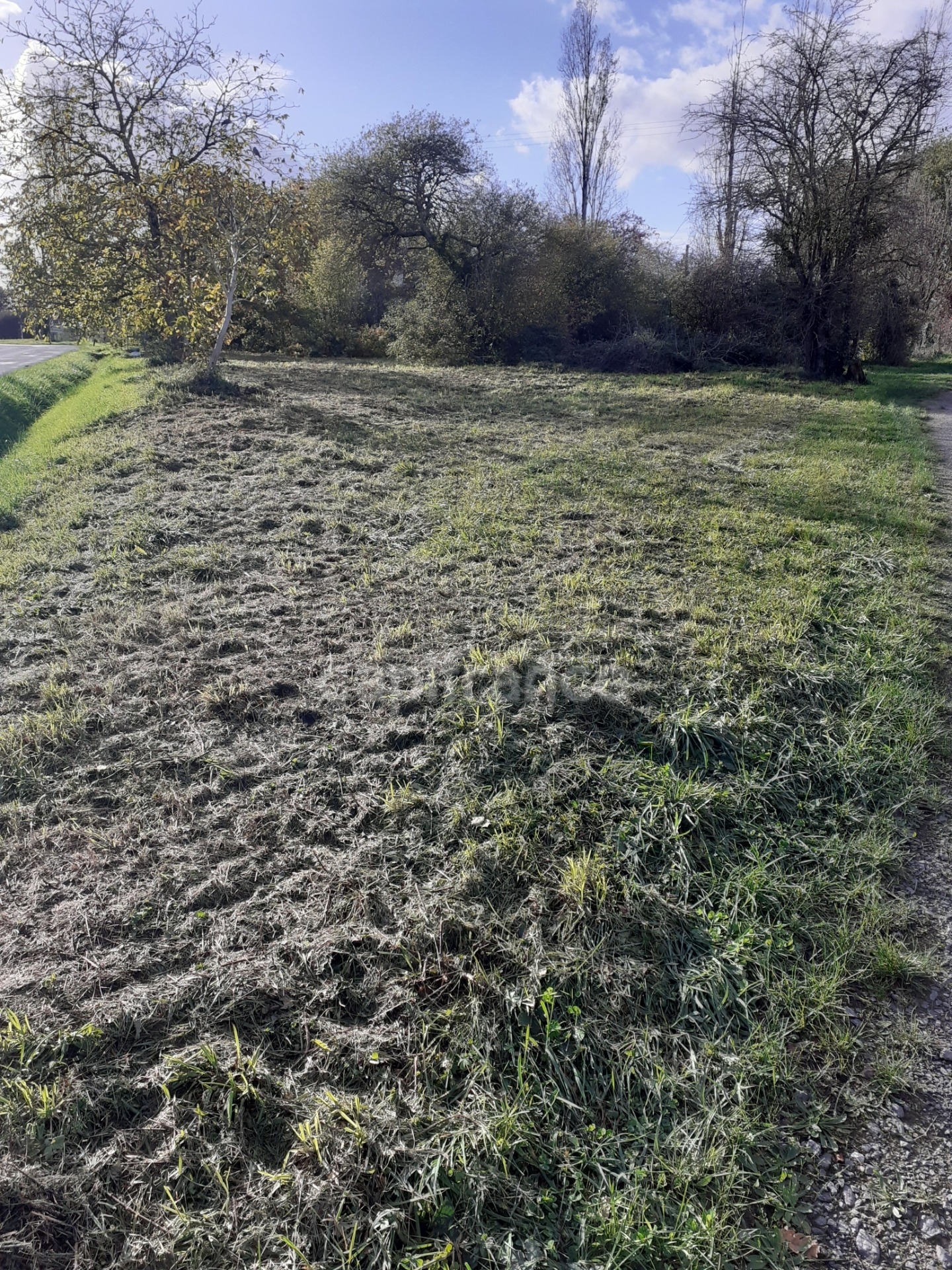 Terrain