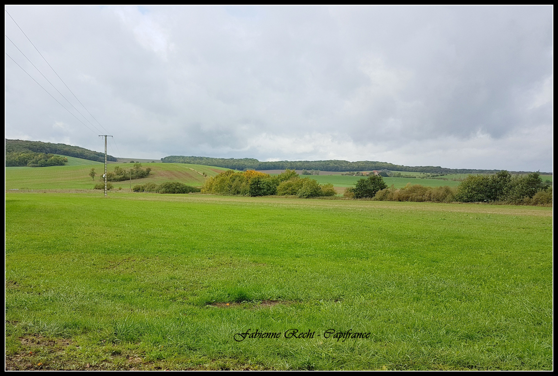 Terrain