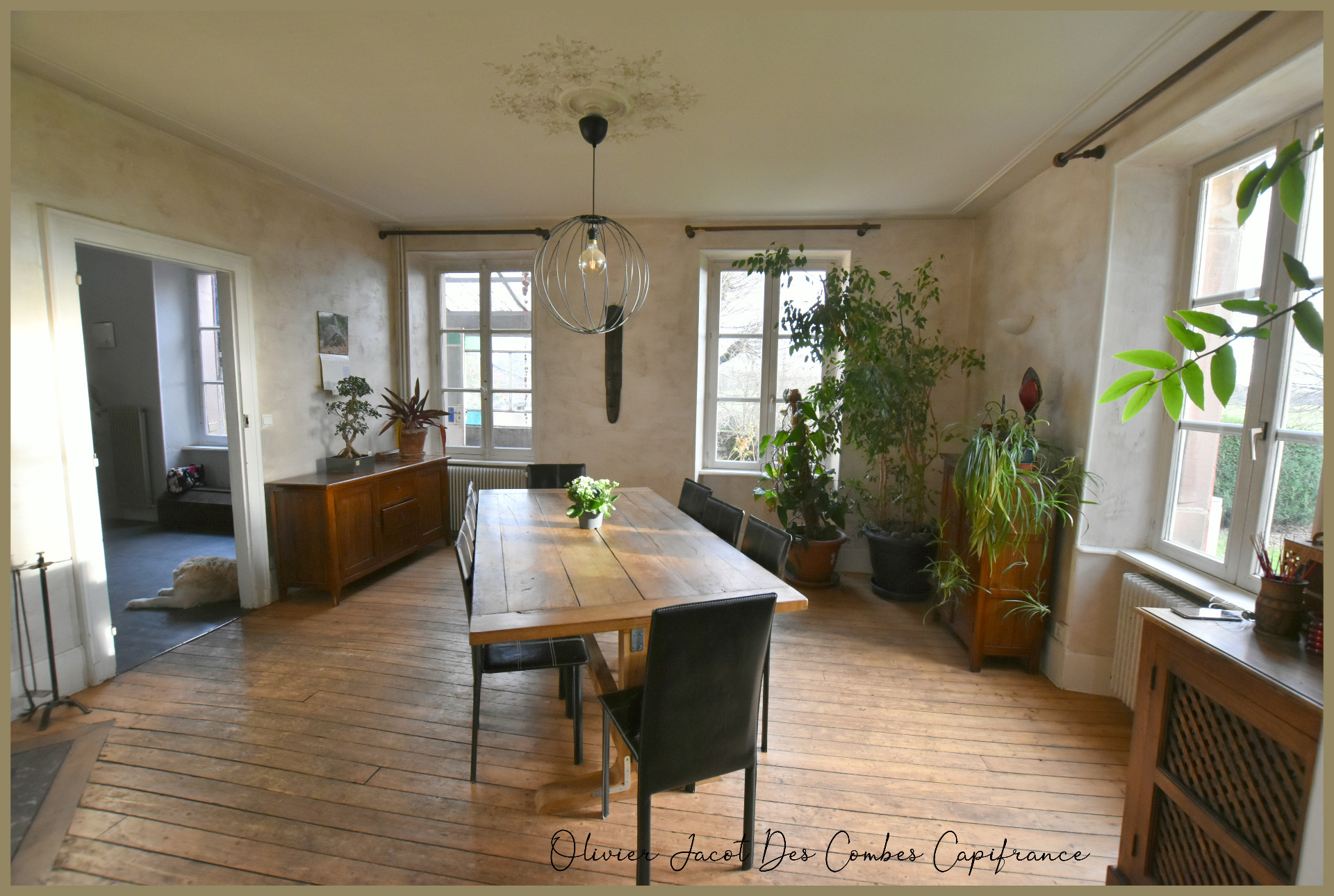 Maison