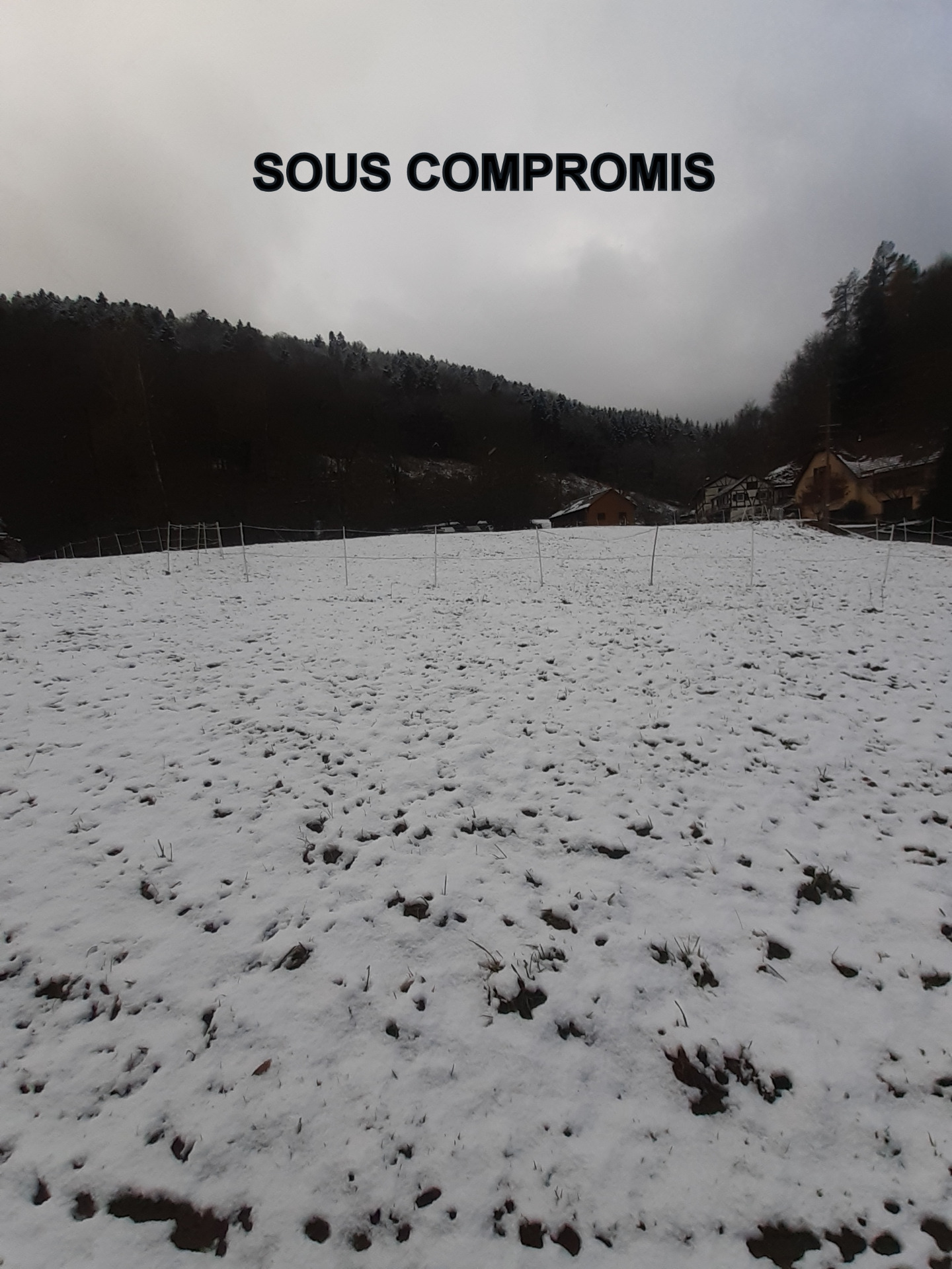 Terrain