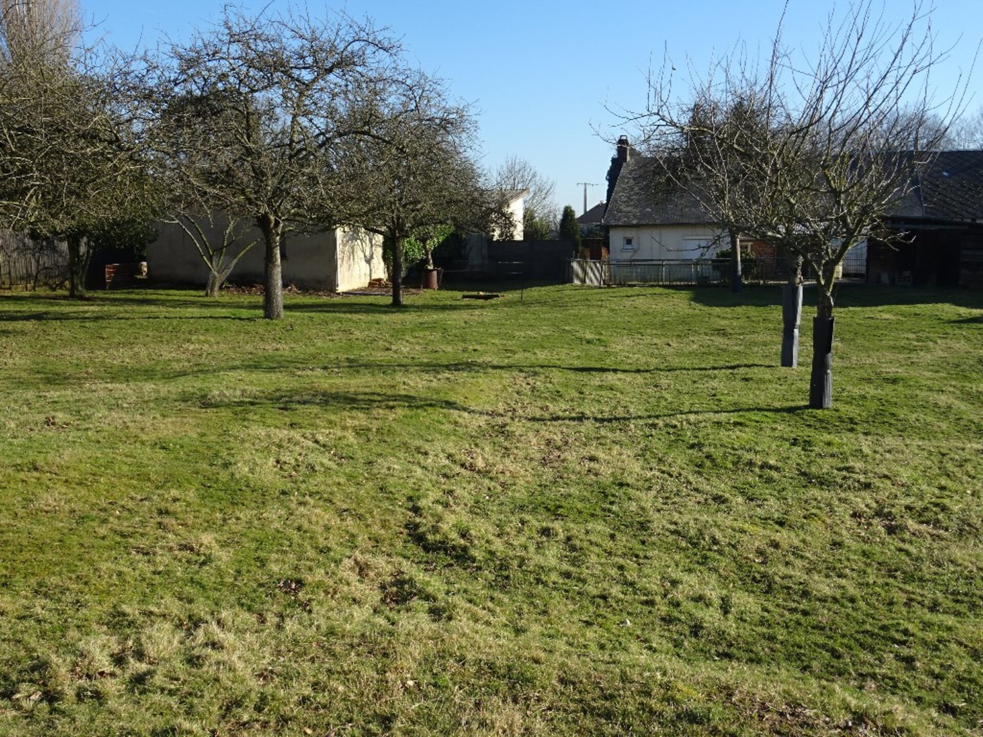 Terrain