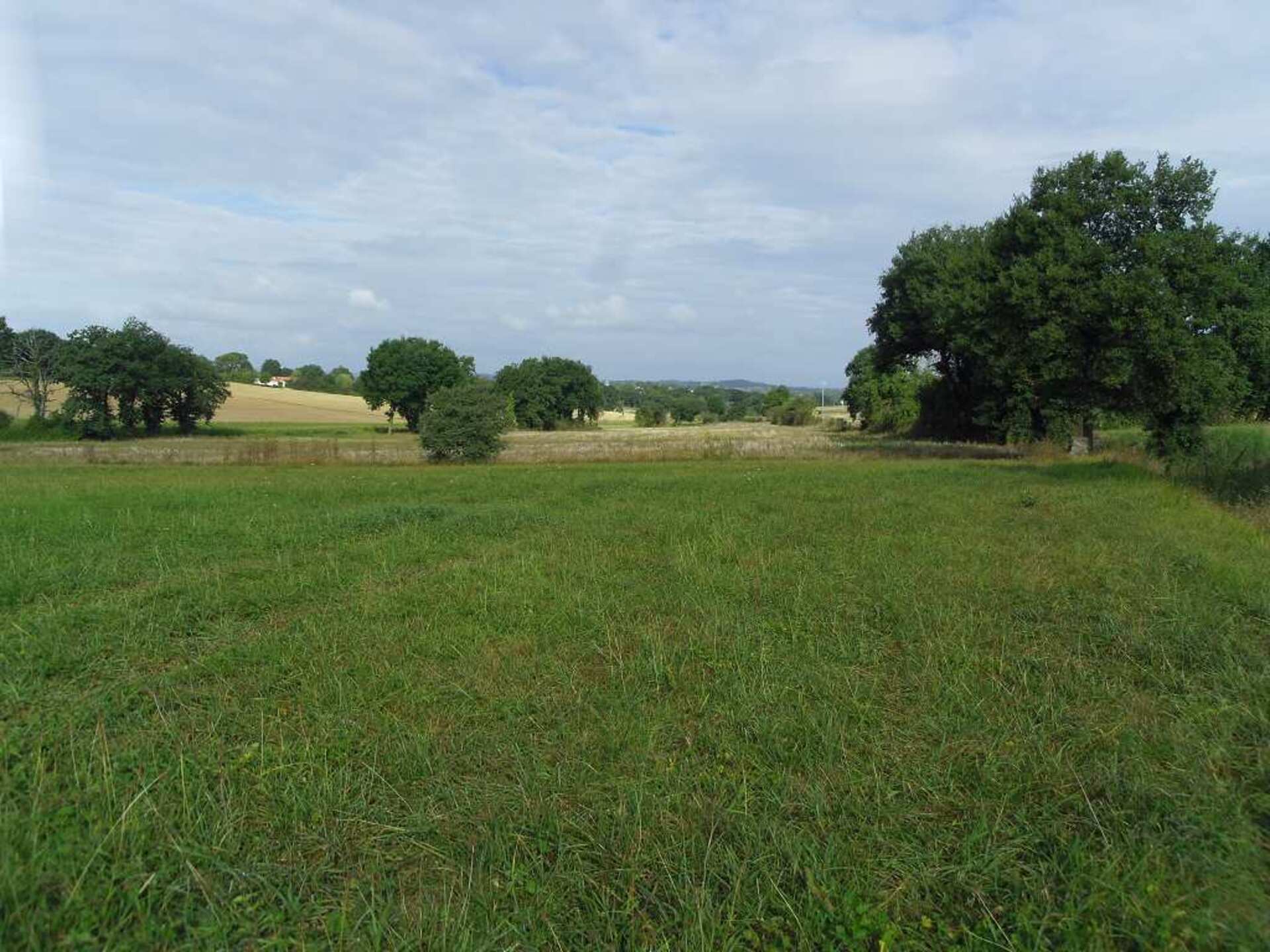 Terrain