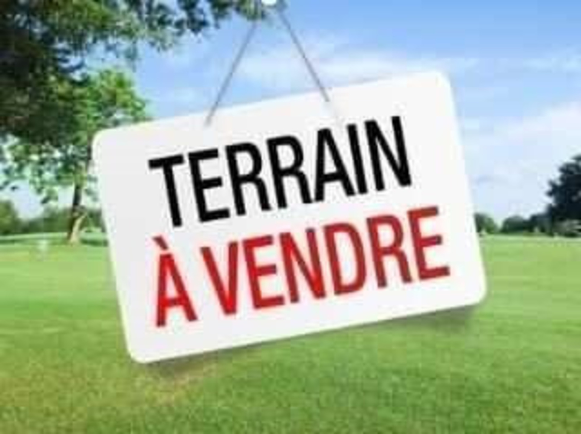 Terrain