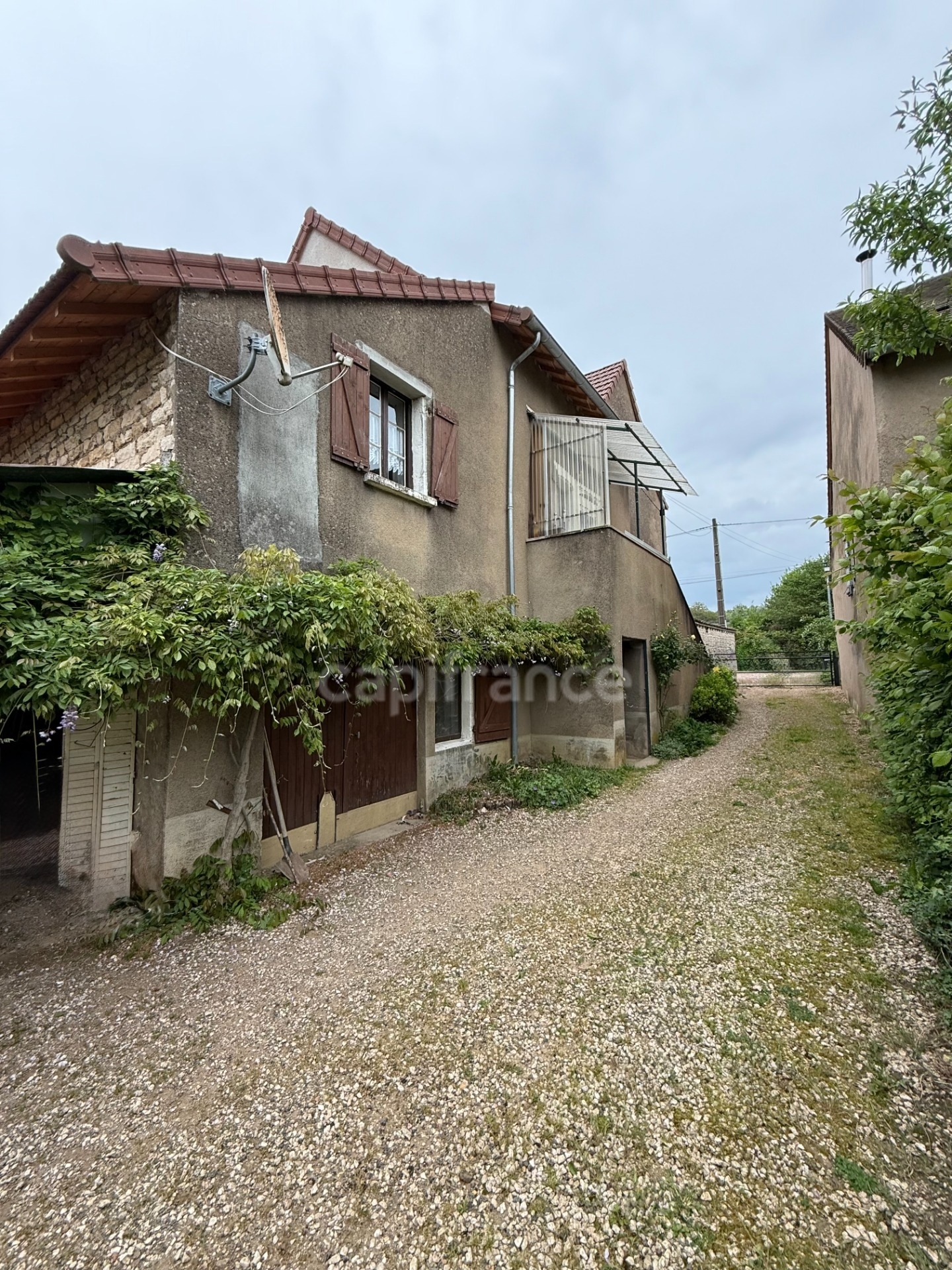 Maison
