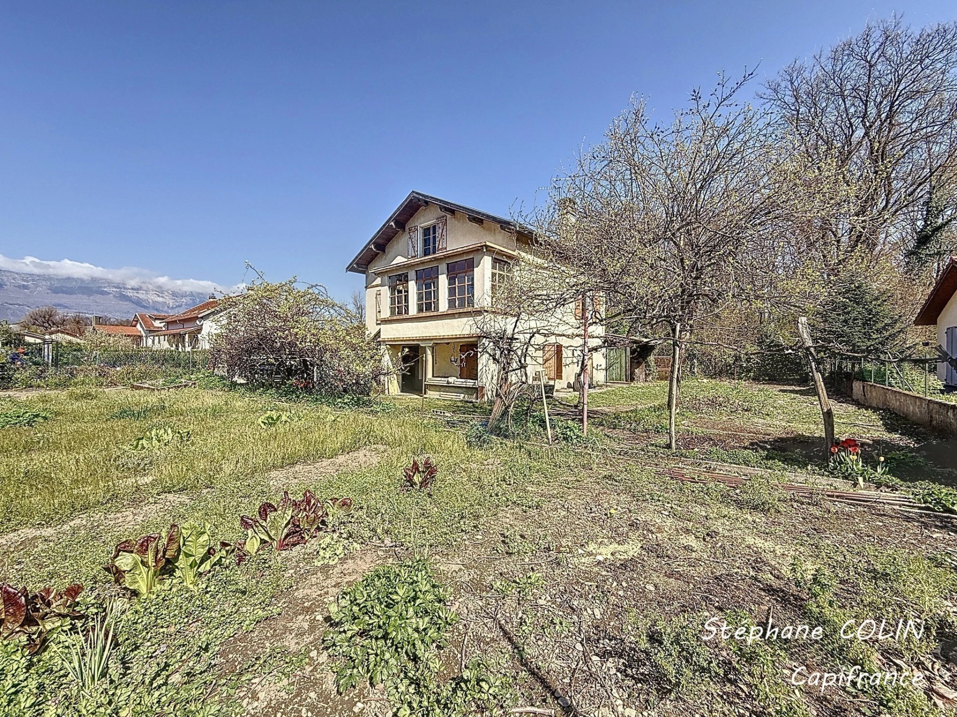 Maison