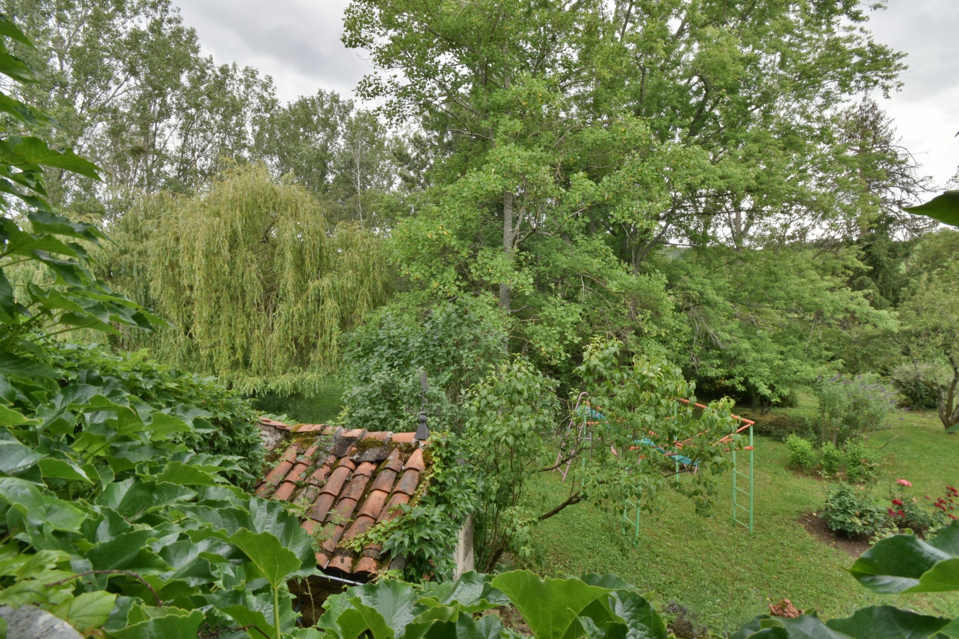 Terrain