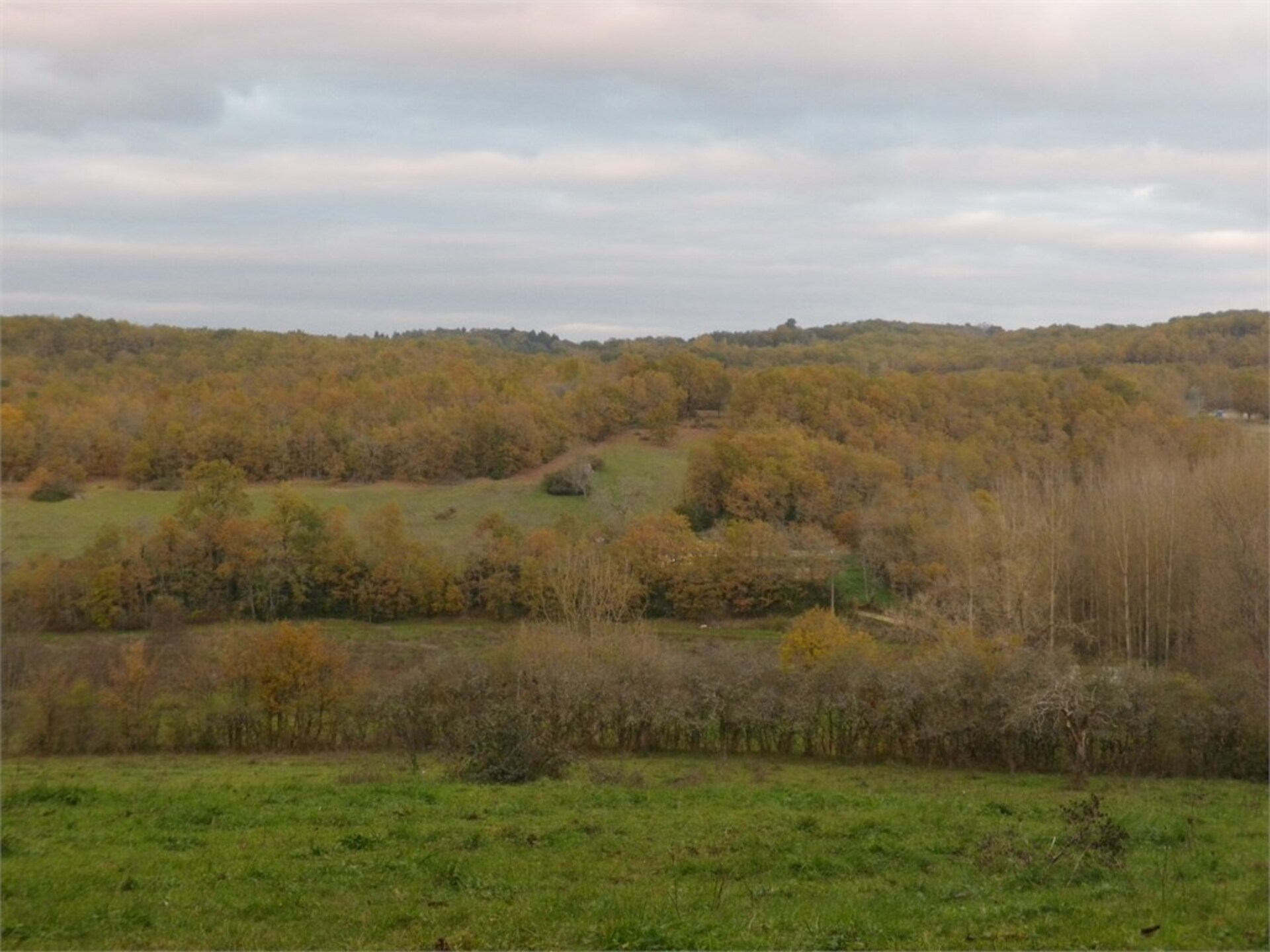 Terrain