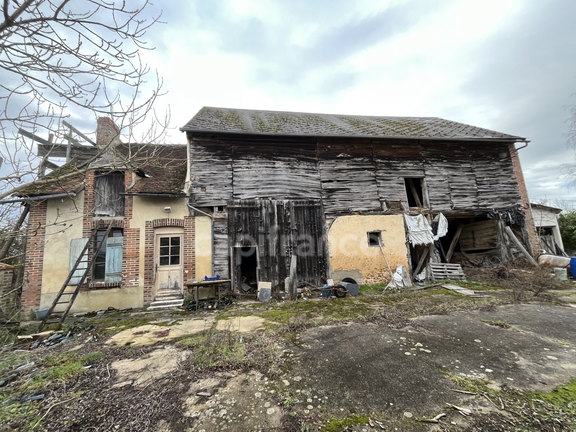 Maison