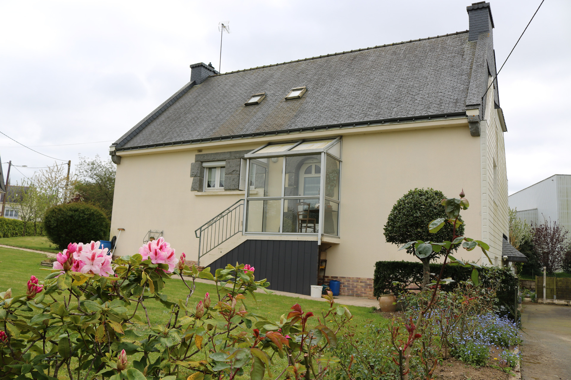 Maison