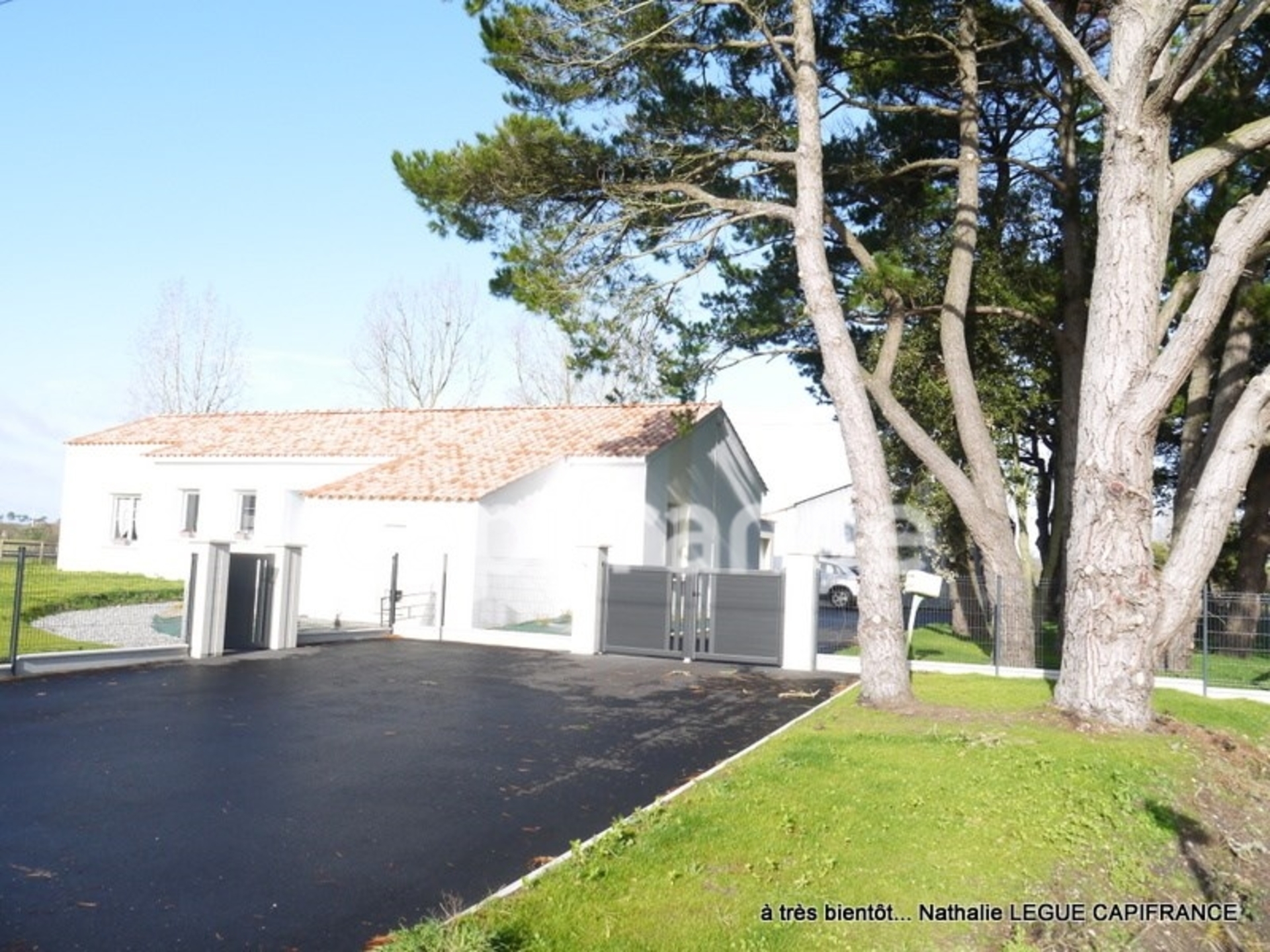 Maison