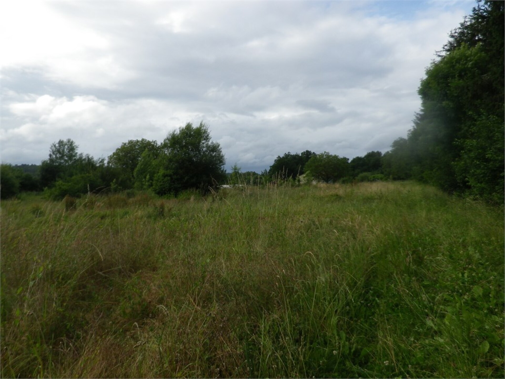 Terrain
