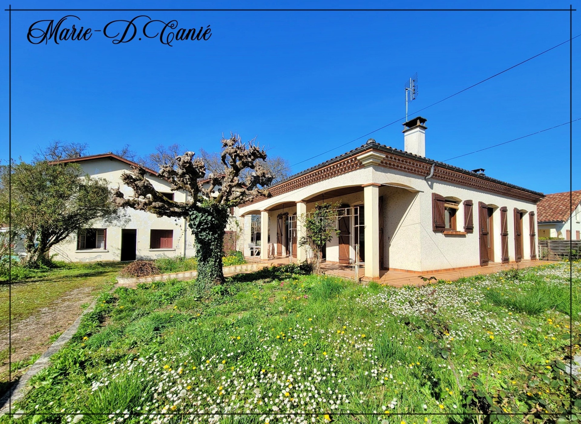 Maison