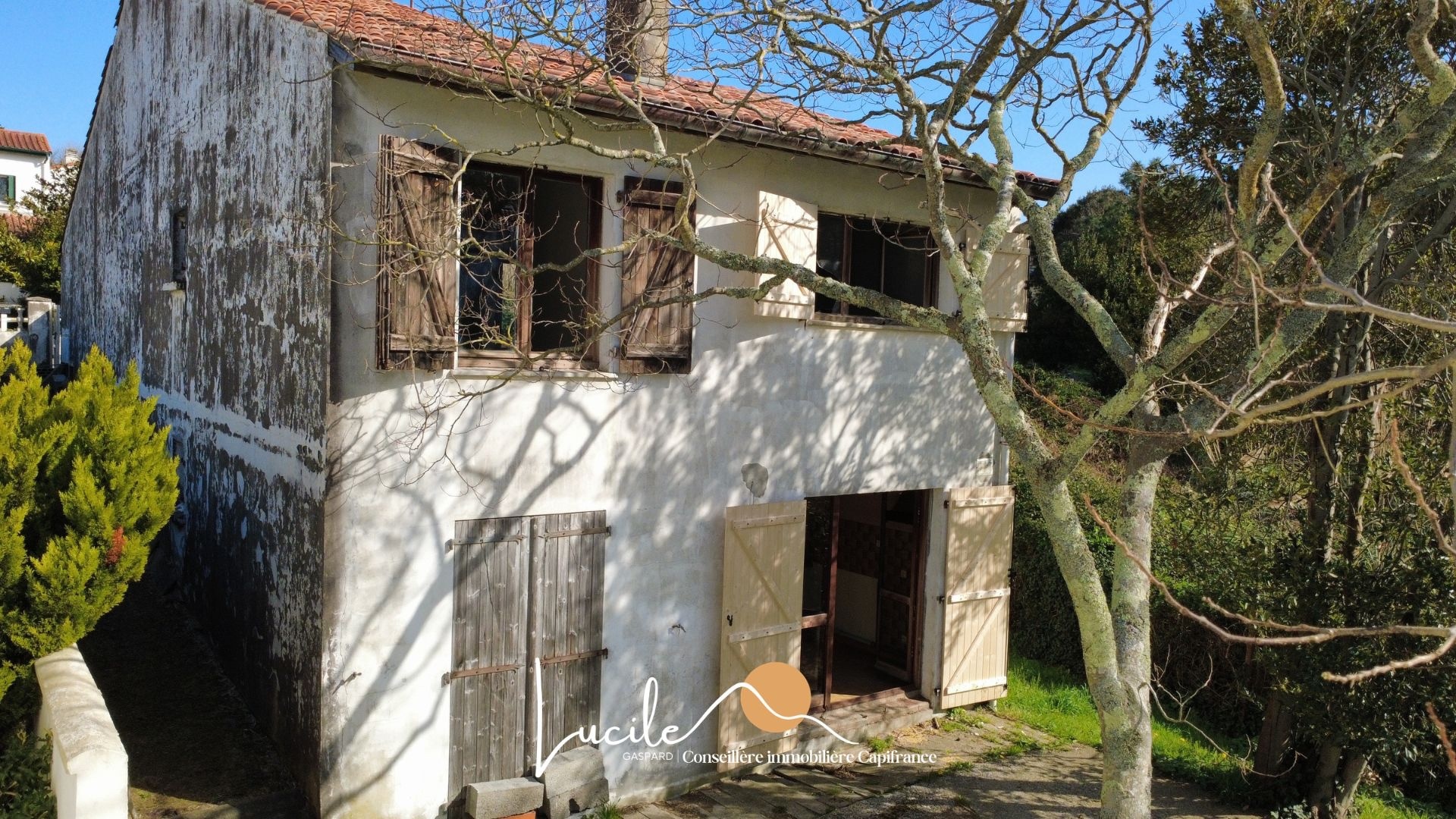 Maison